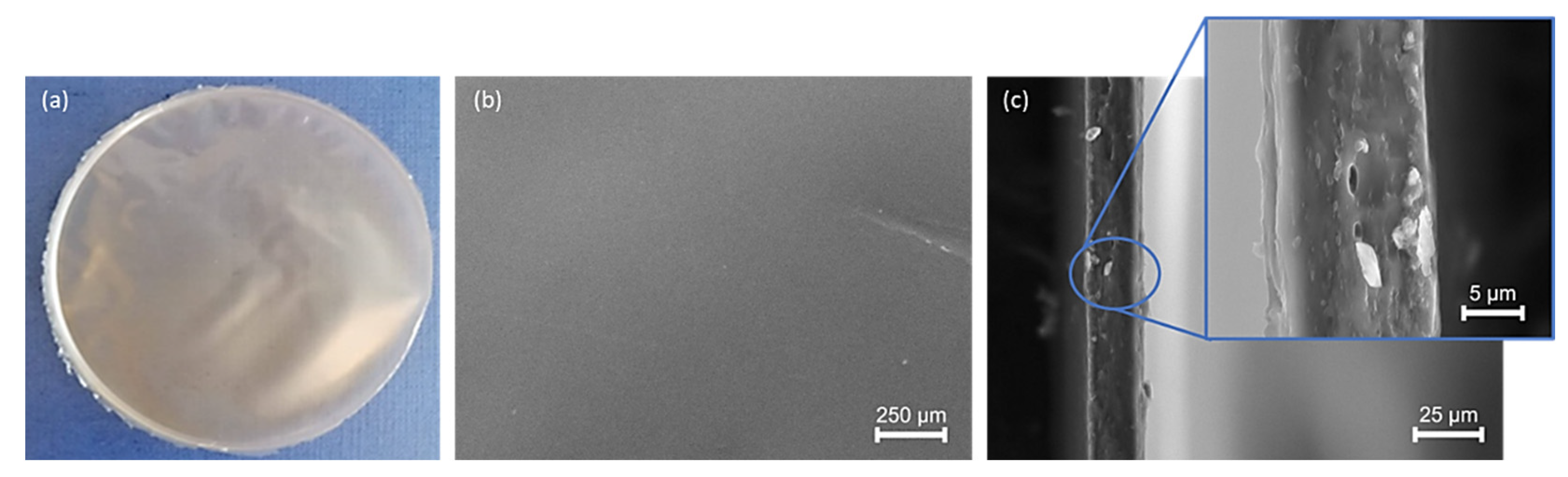 Molecules 27 07165 g008