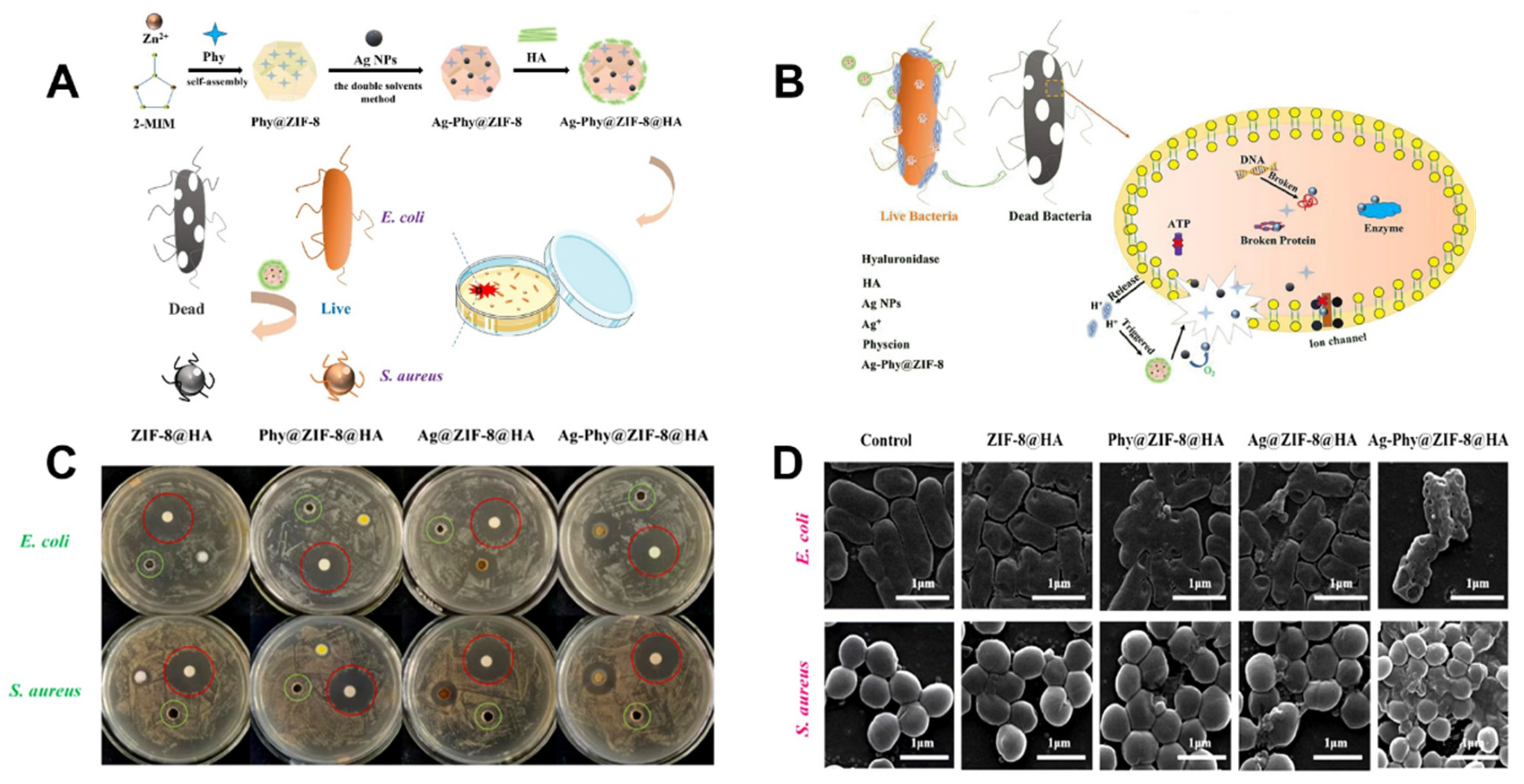Molecules 27 07166 g005