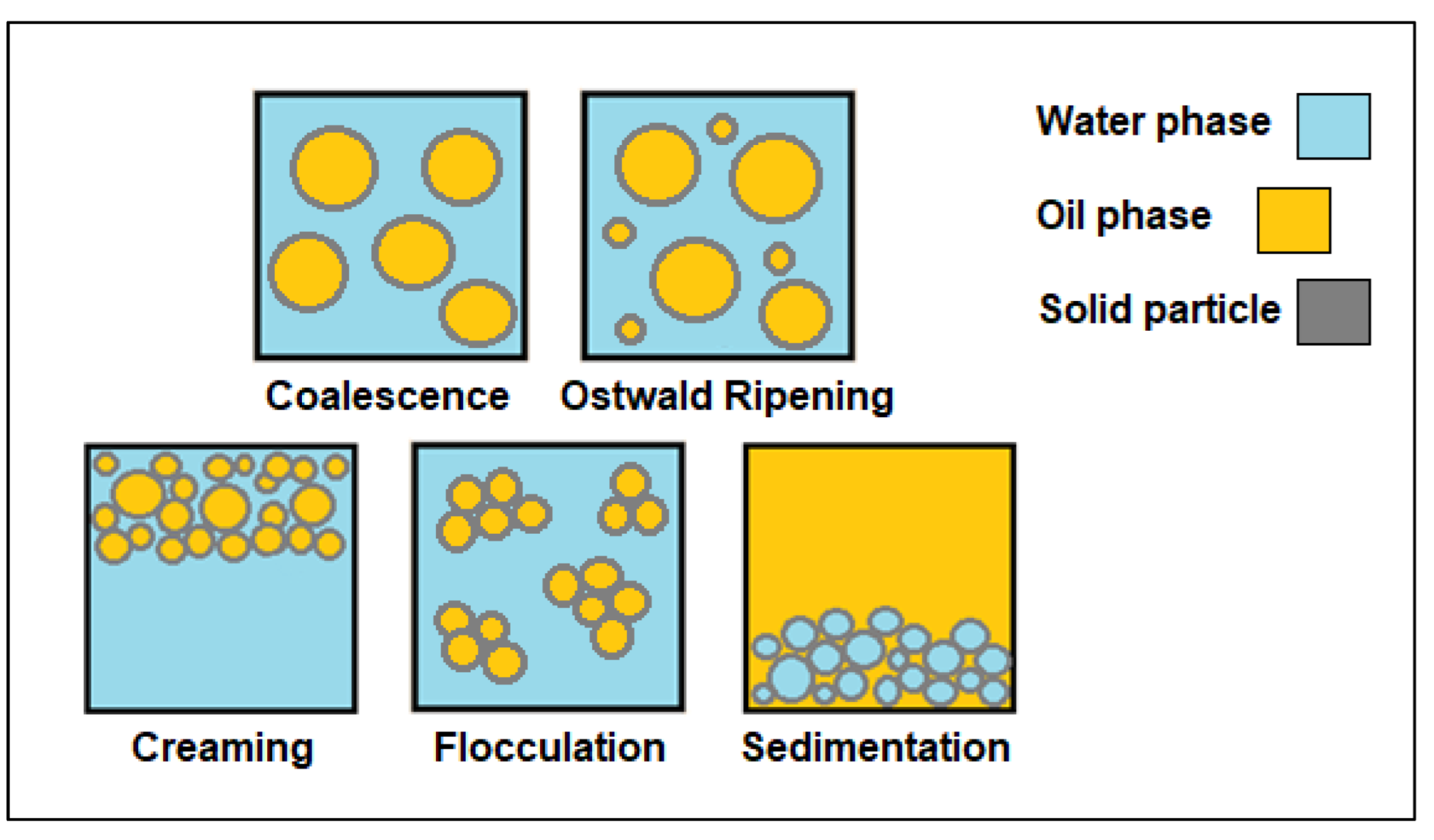 Molecules 27 07170 g006