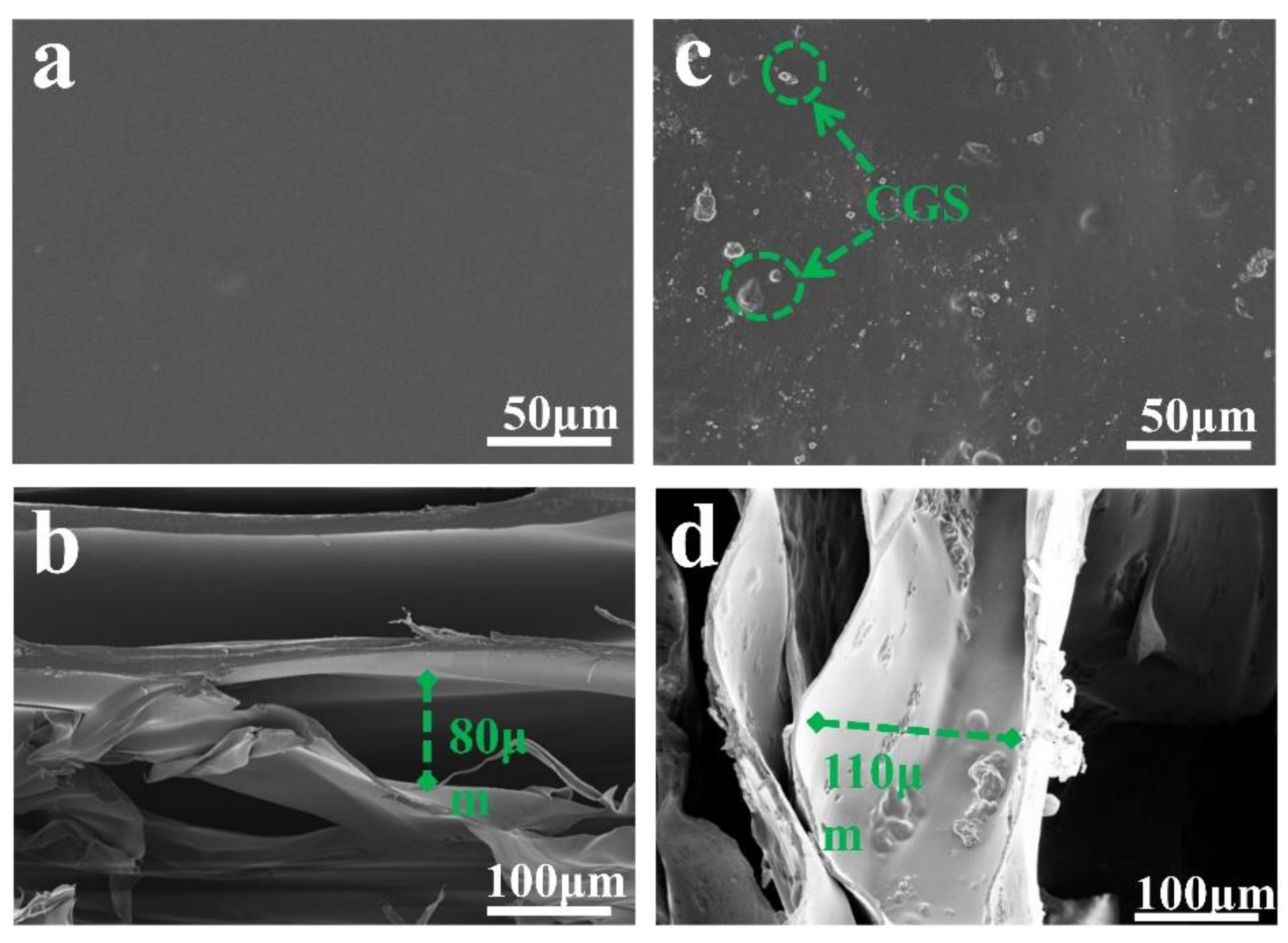 Molecules 27 07173 g007