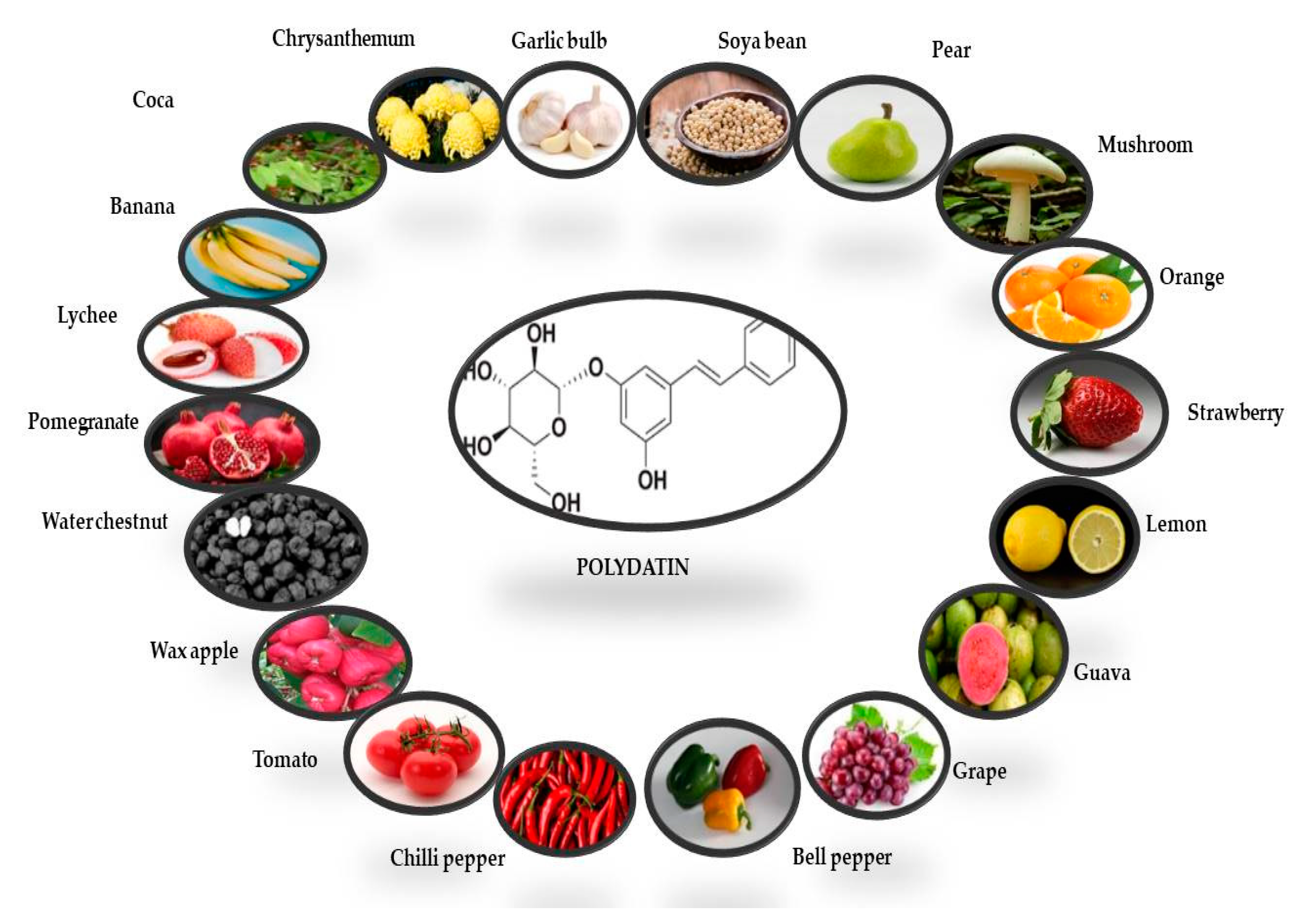 Molecules 27 07175 g002 Molecules 27 07175 g002