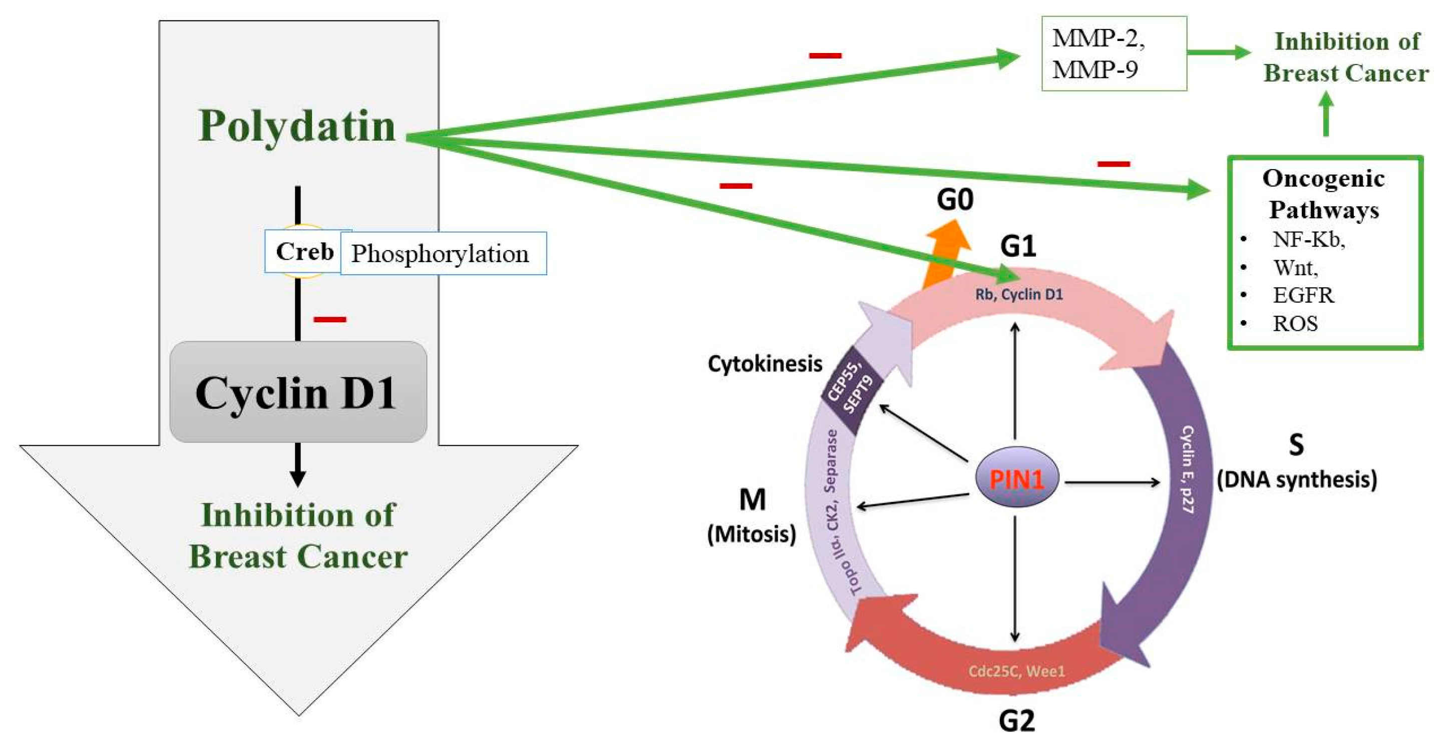 Molecules 27 07175 g003 Molecules 27 07175 g003
