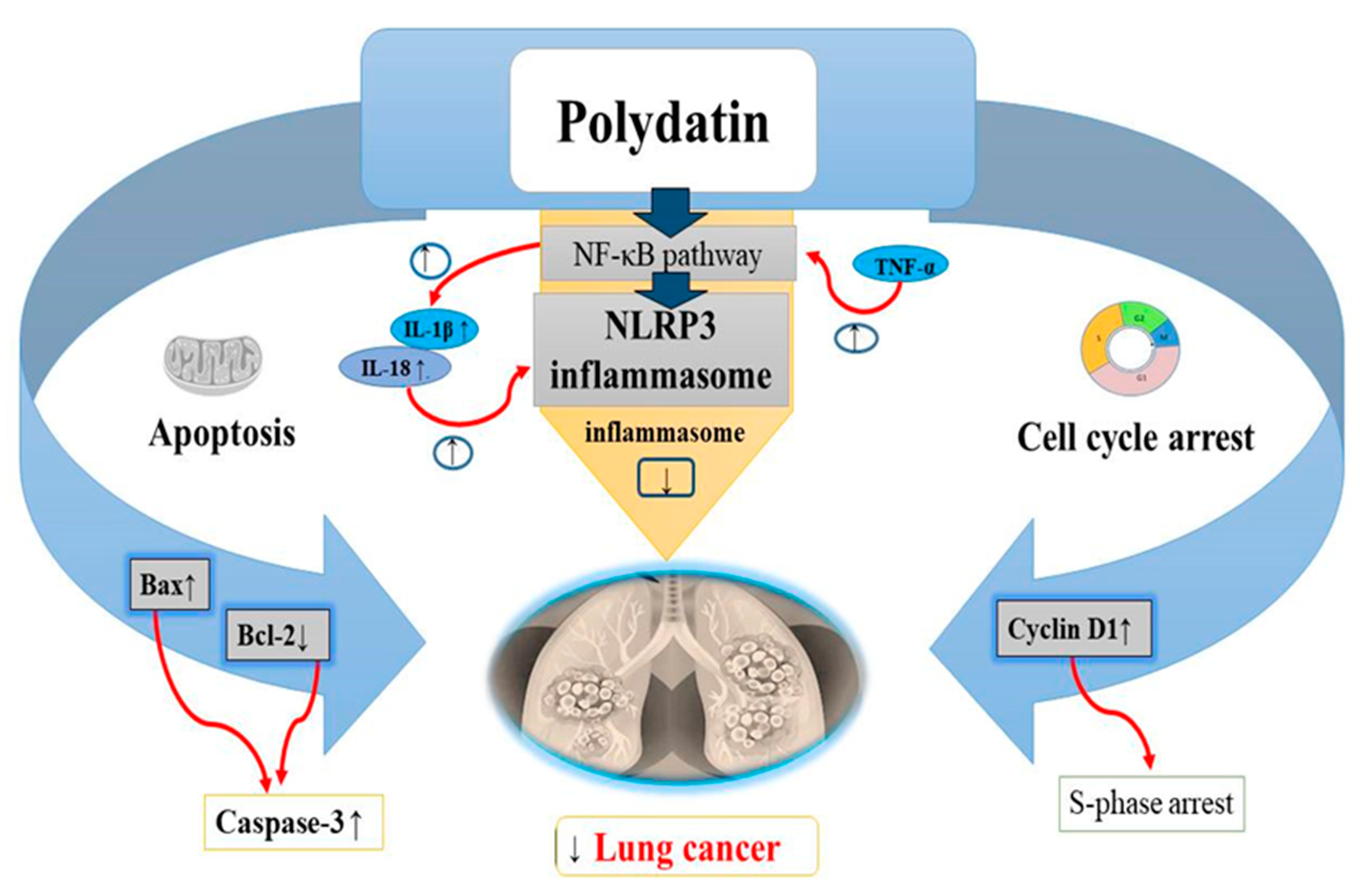 Molecules 27 07175 g006 Molecules 27 07175 g006