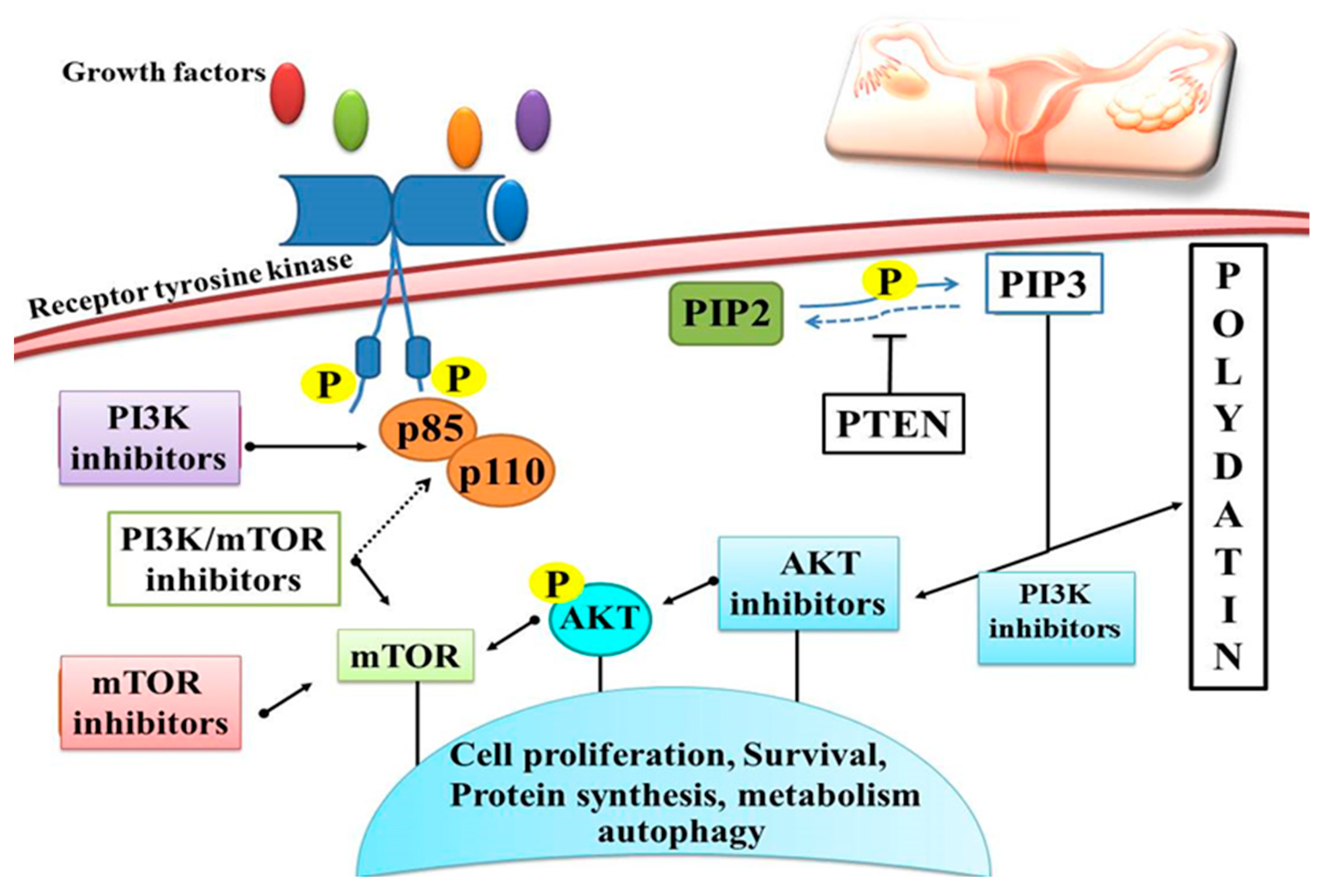 Molecules 27 07175 g007 Molecules 27 07175 g007