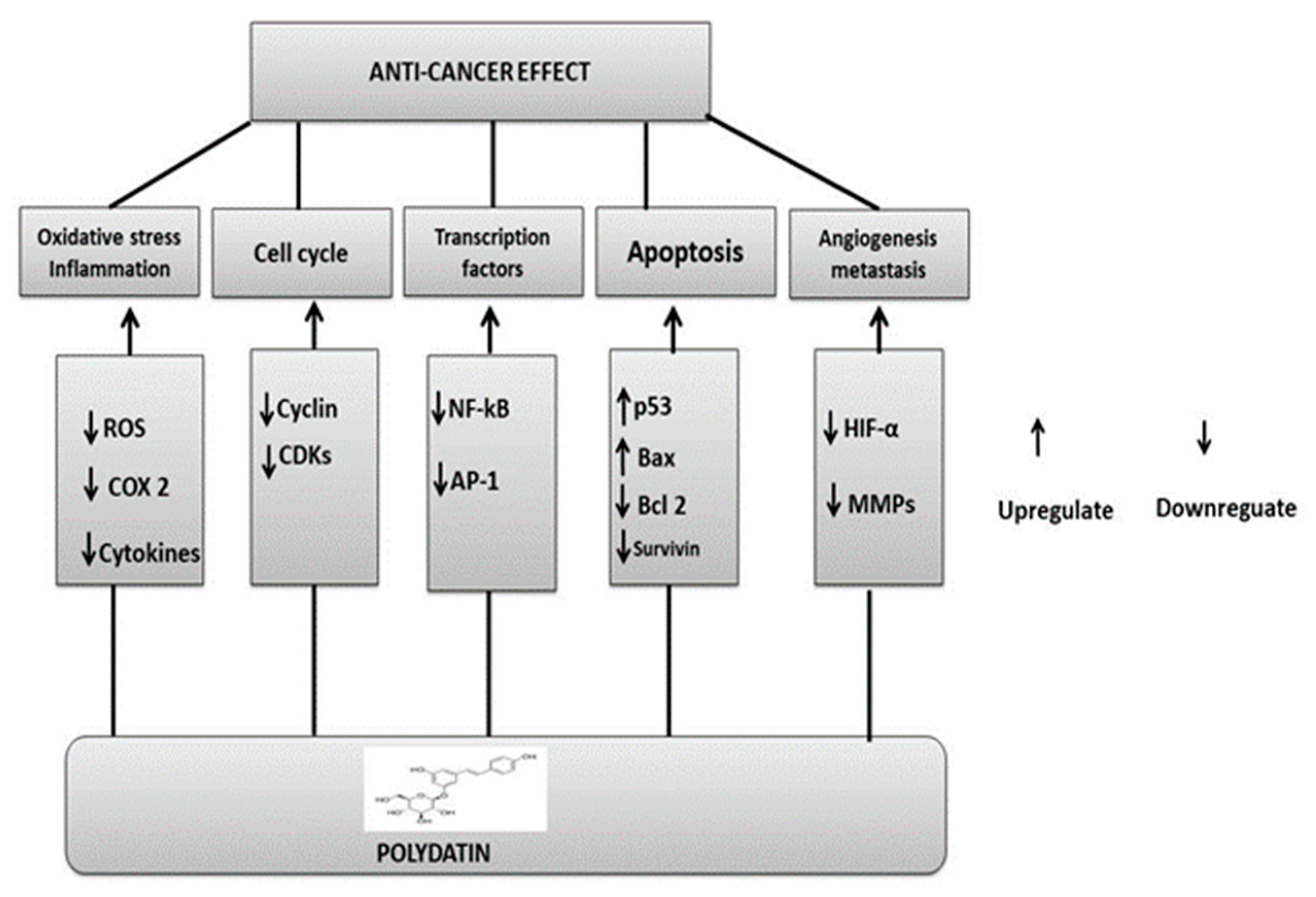 Molecules 27 07175 g008 Molecules 27 07175 g008