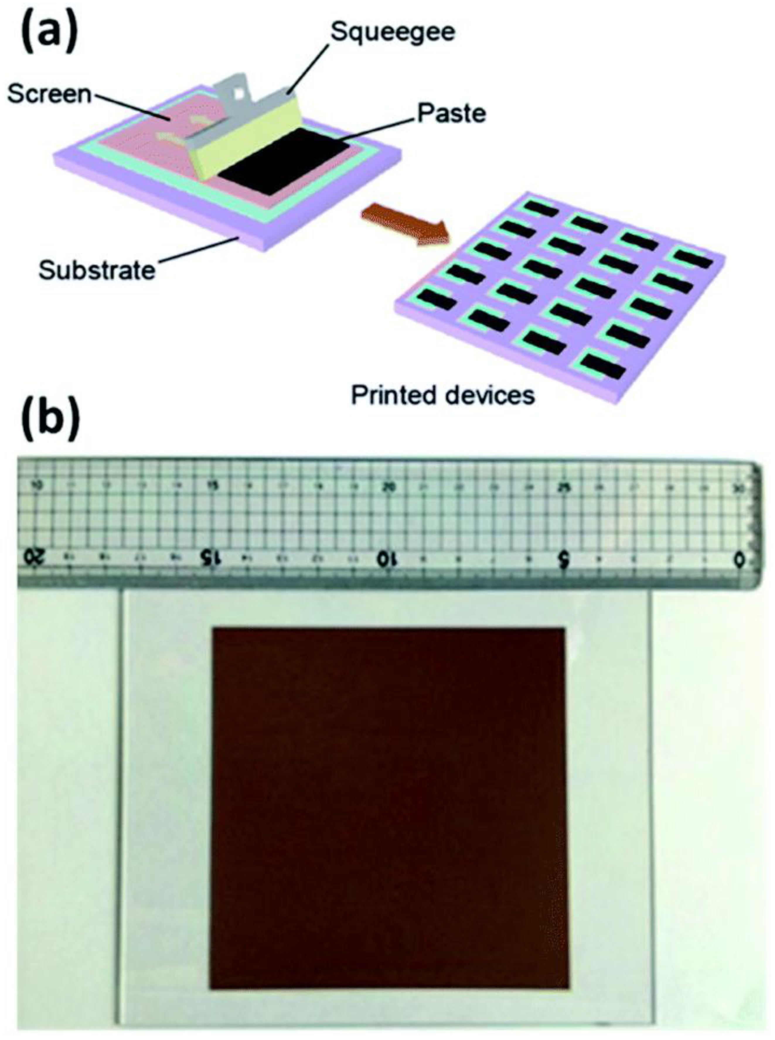 Molecules 27 07176 g005 Molecules 27 07176 g005