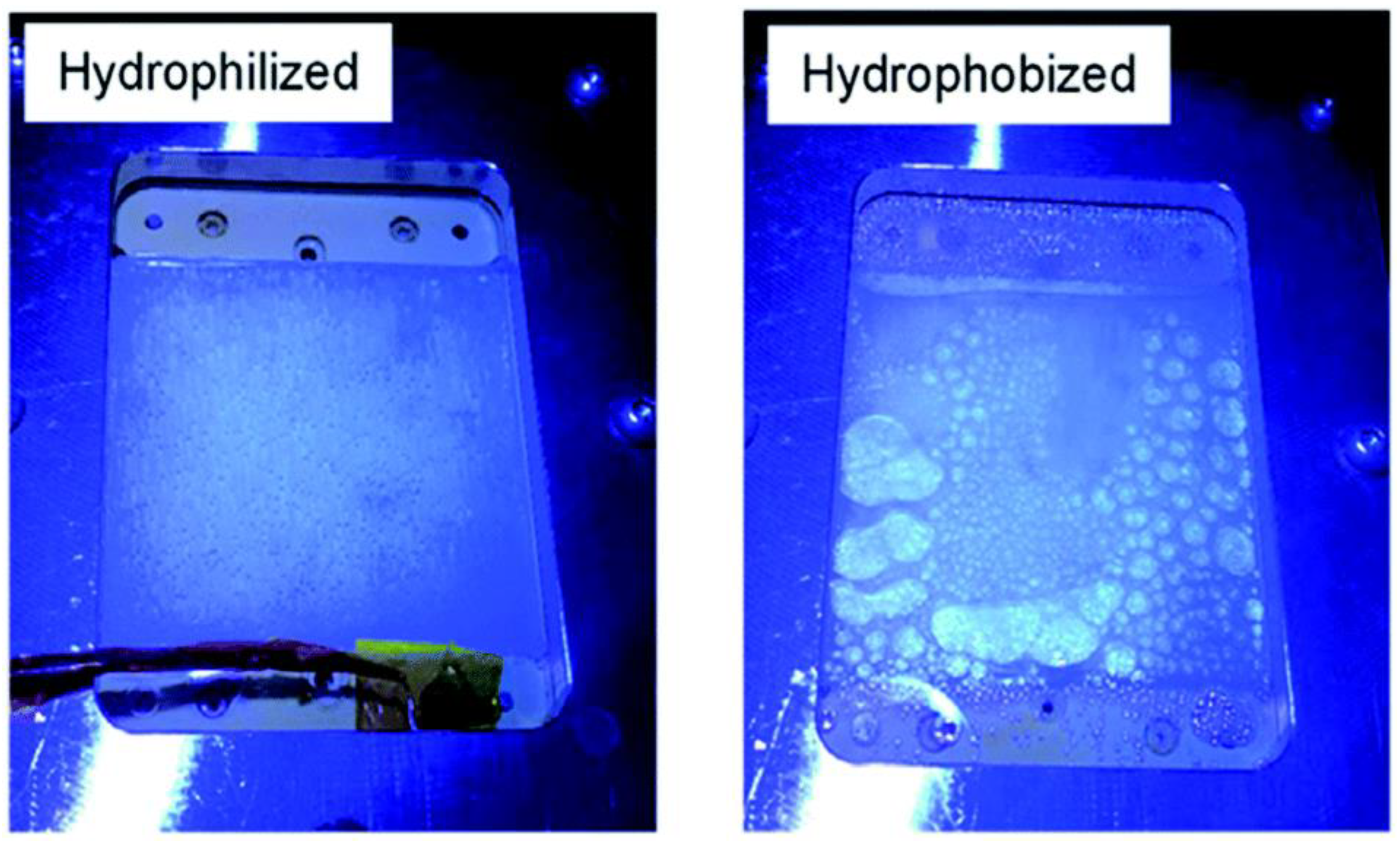 Molecules 27 07176 g006 Molecules 27 07176 g006