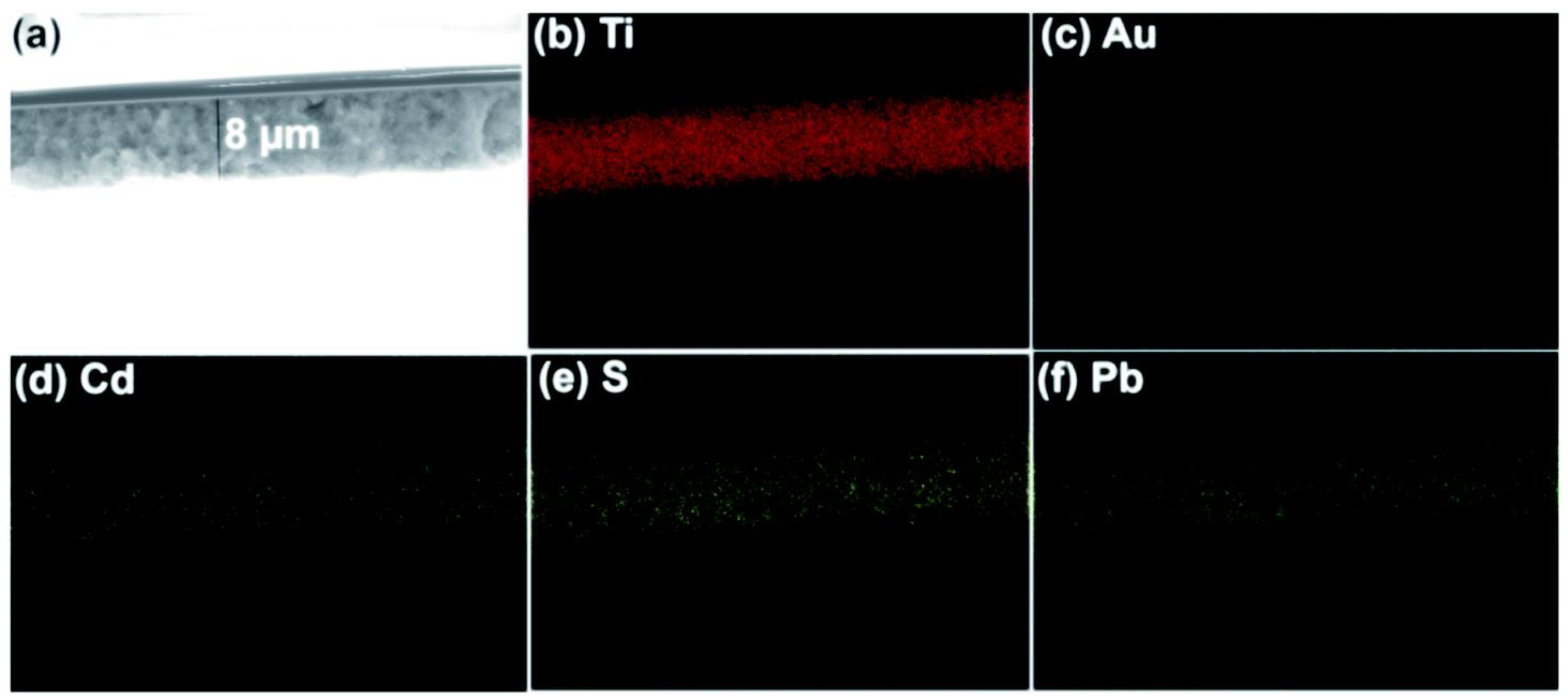 Molecules 27 07176 g007 Molecules 27 07176 g007