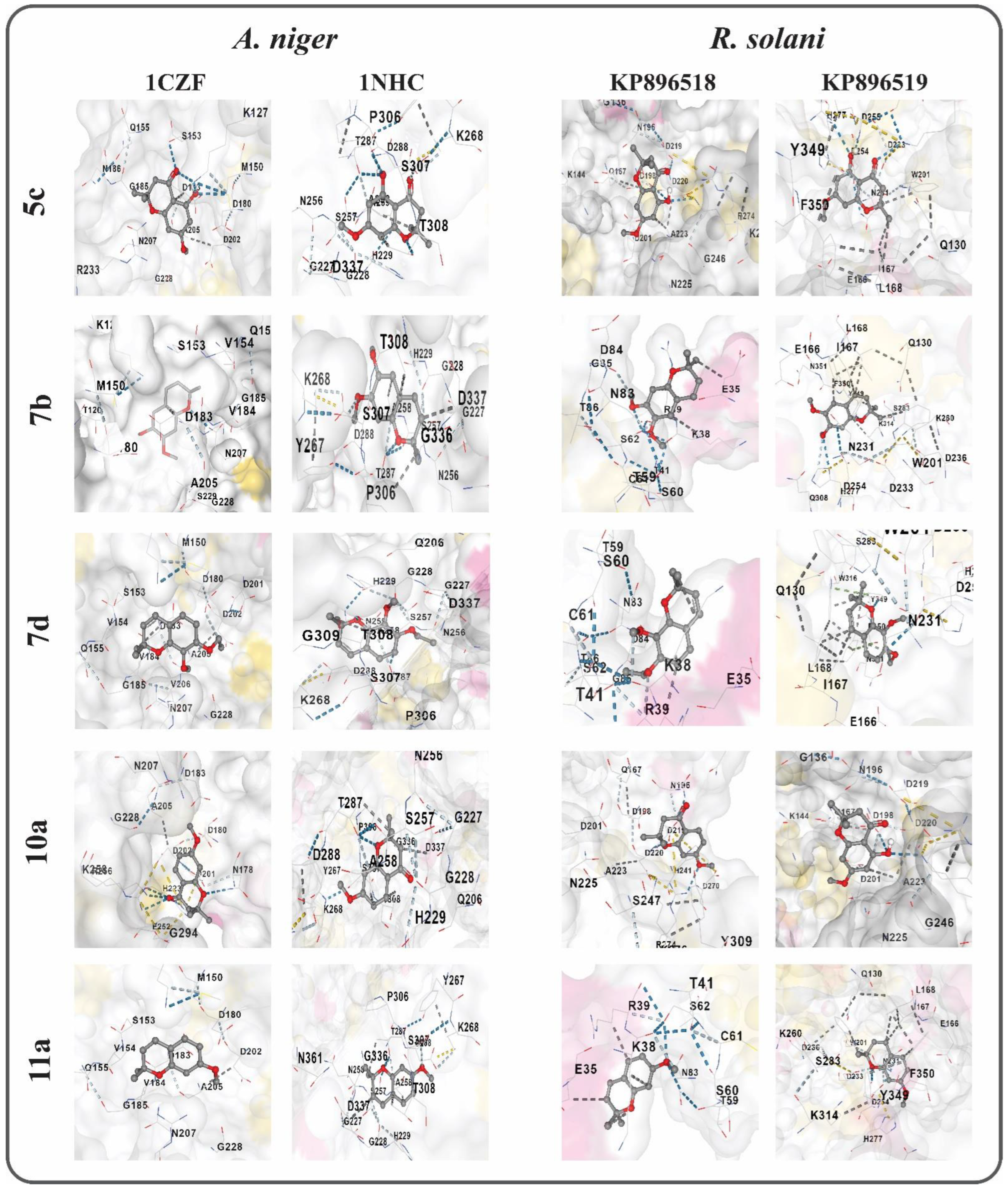 Molecules 27 07177 g001