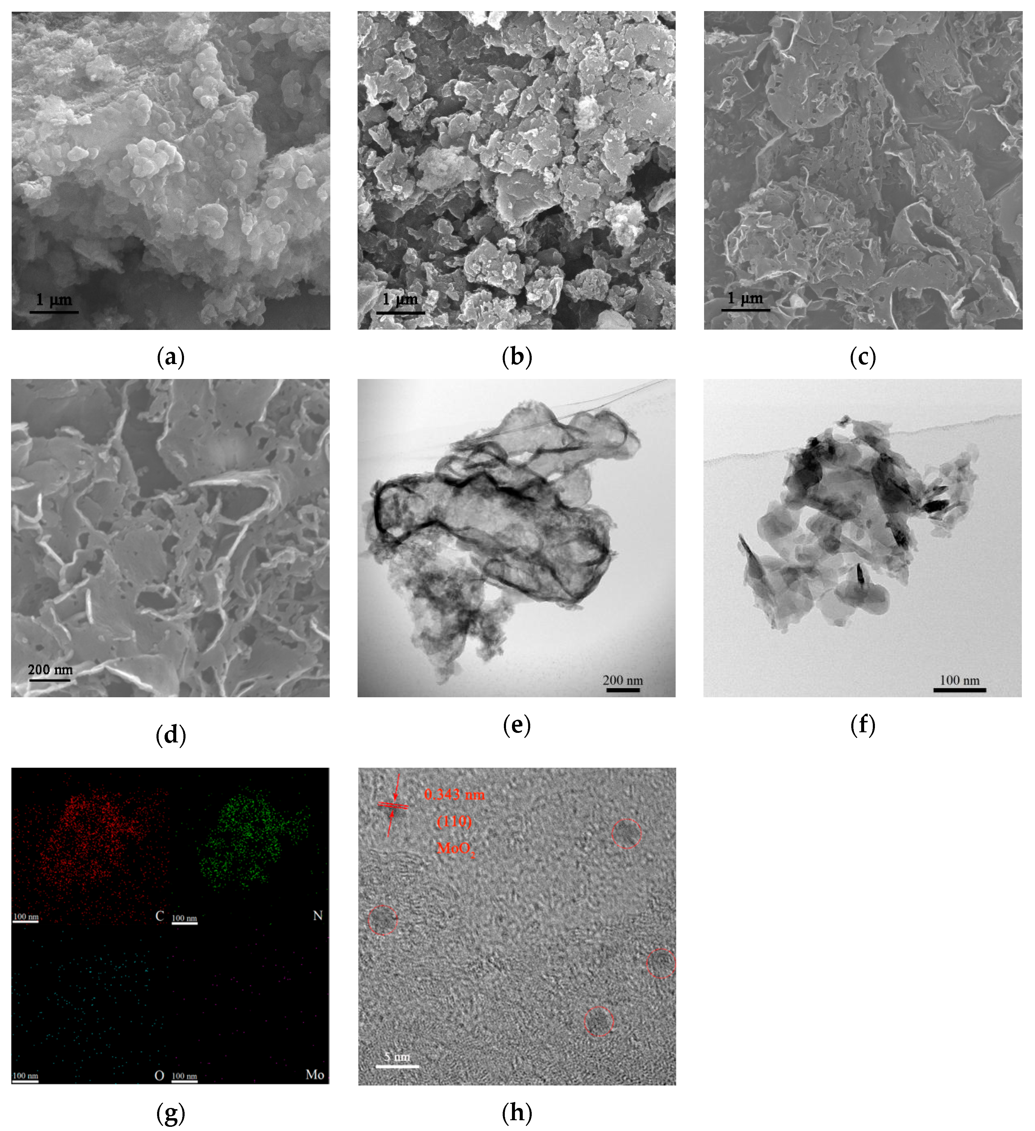 Molecules 27 07178 g001