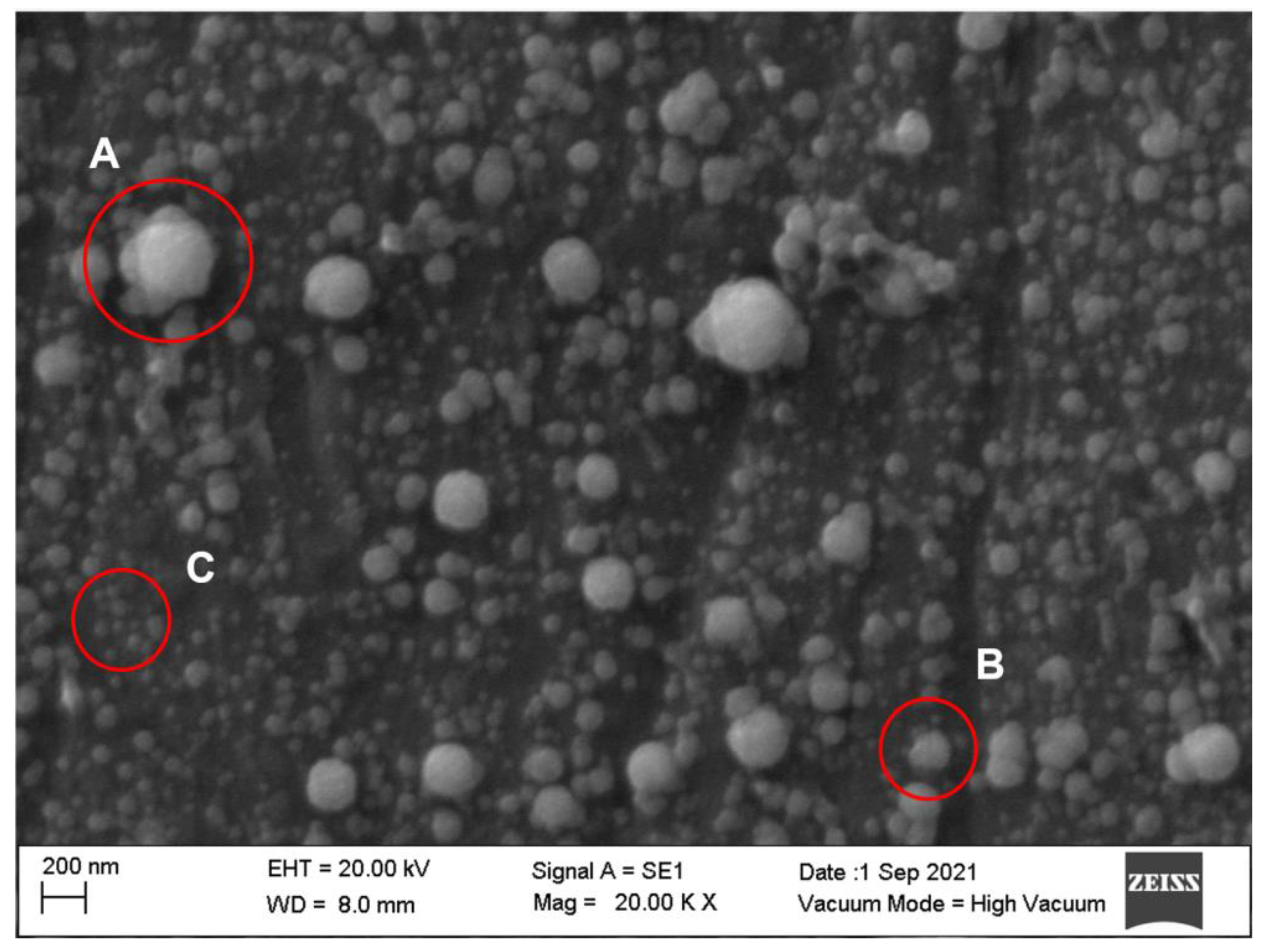 Molecules 27 07179 g001