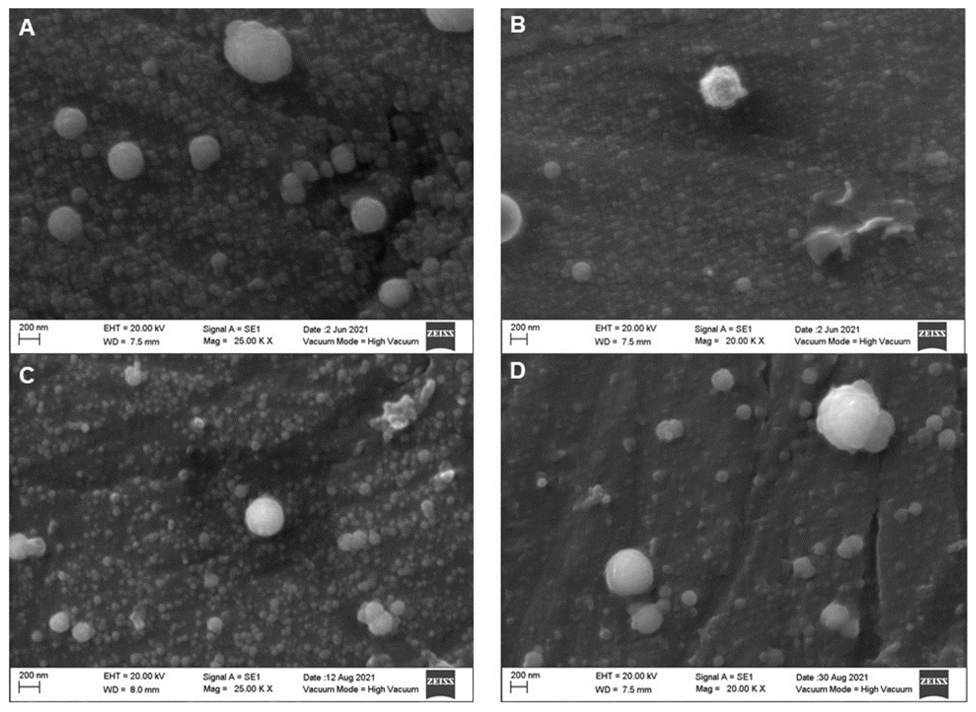 Molecules 27 07179 g002