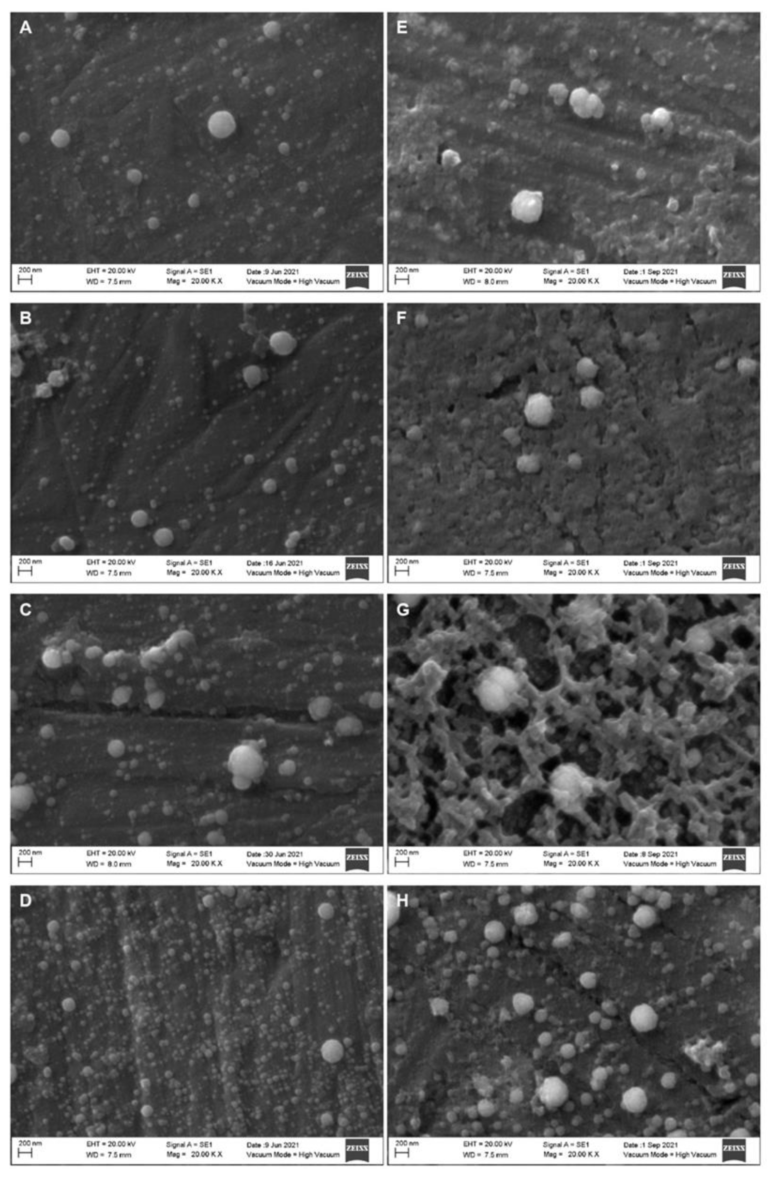 Molecules 27 07179 g004