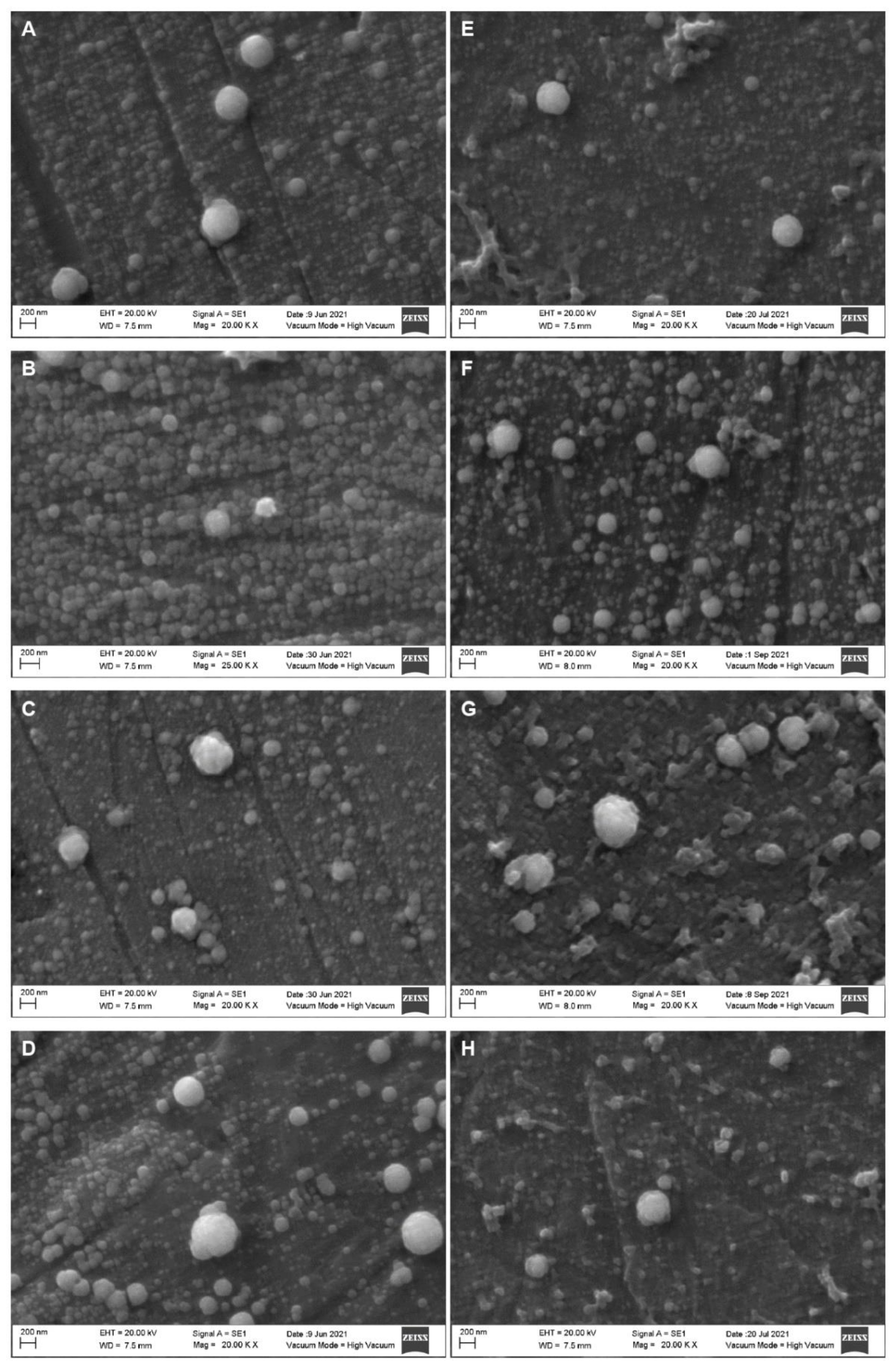 Molecules 27 07179 g005
