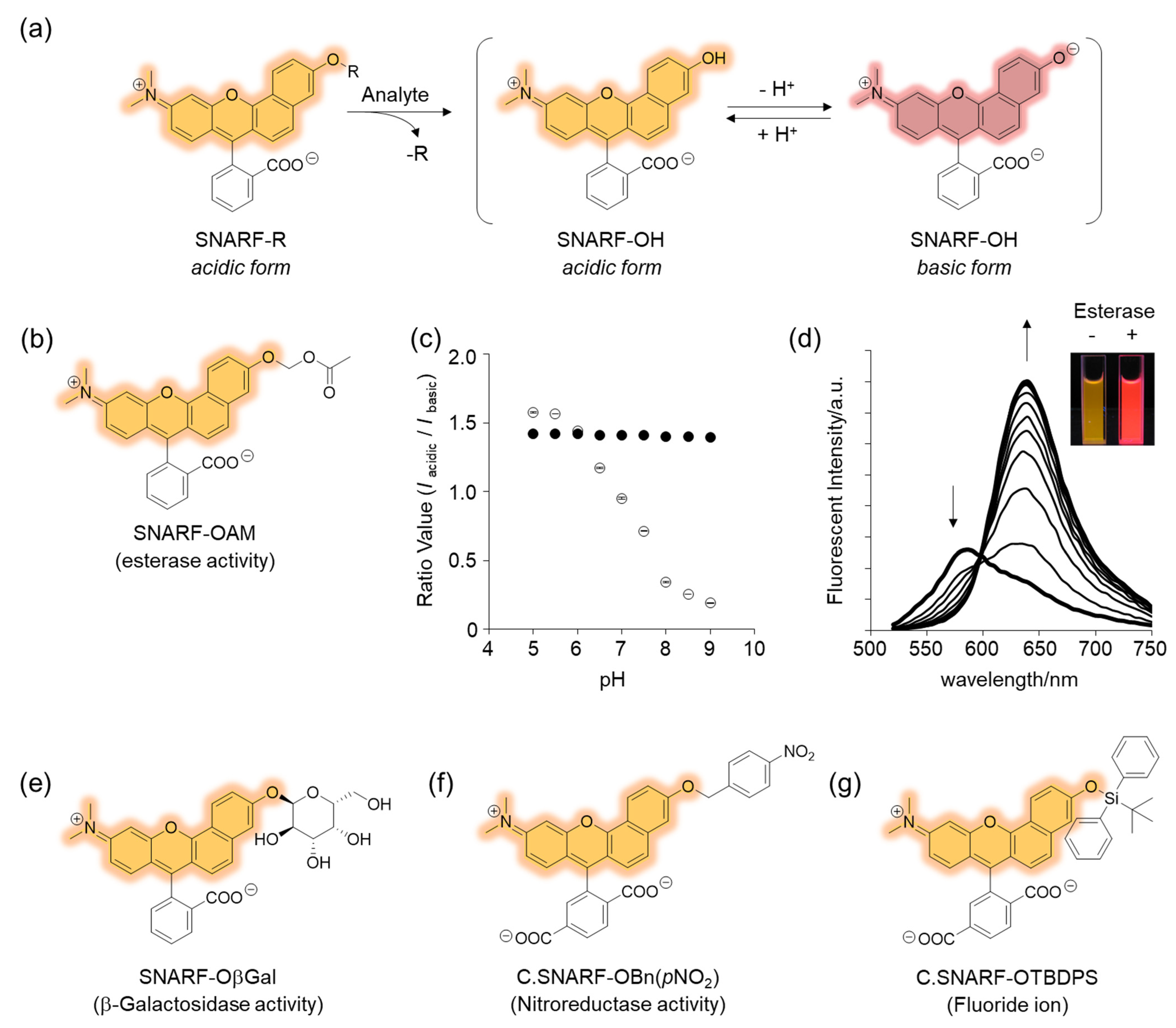 Molecules 27 07181 g004
