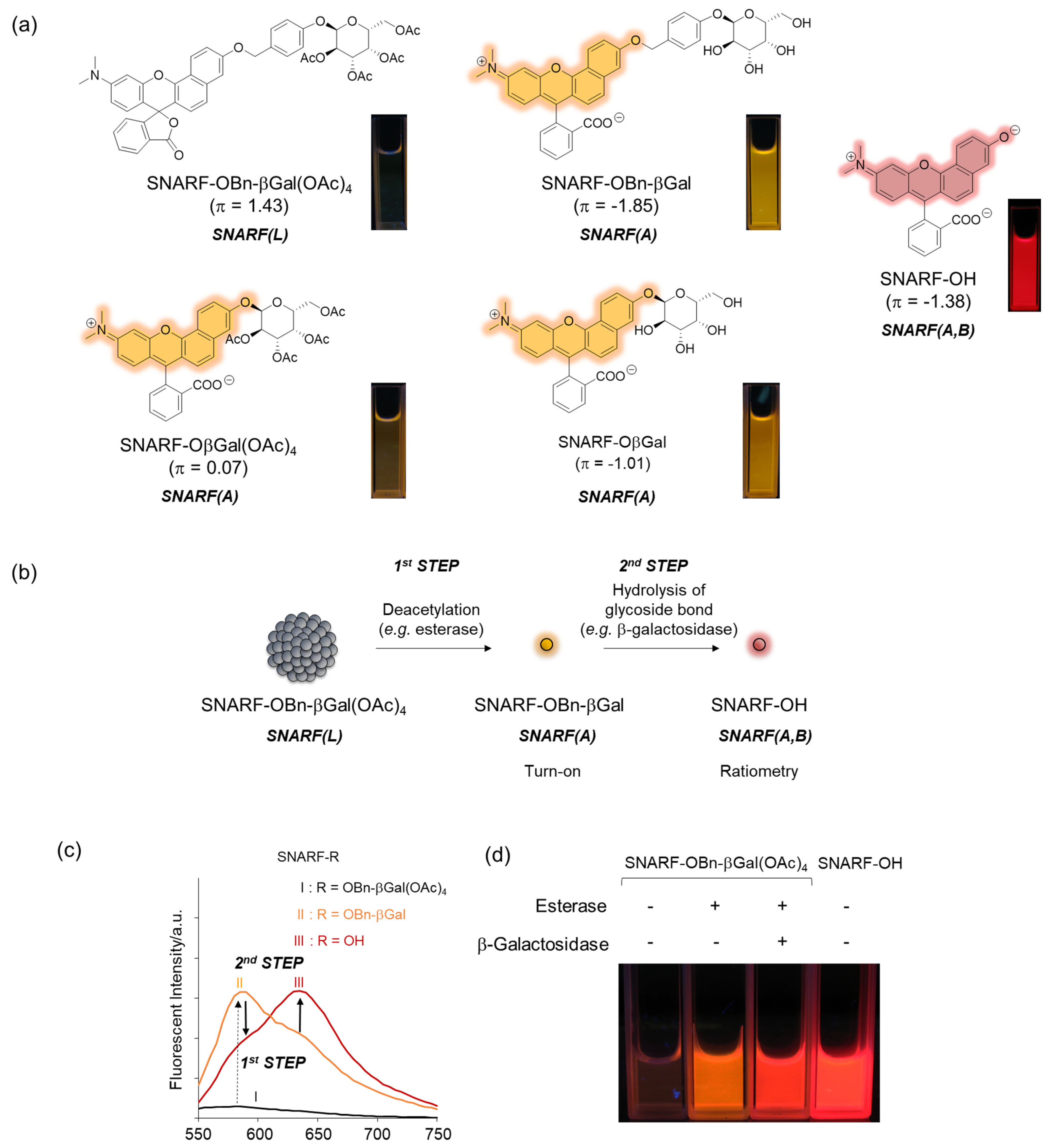Molecules 27 07181 g005