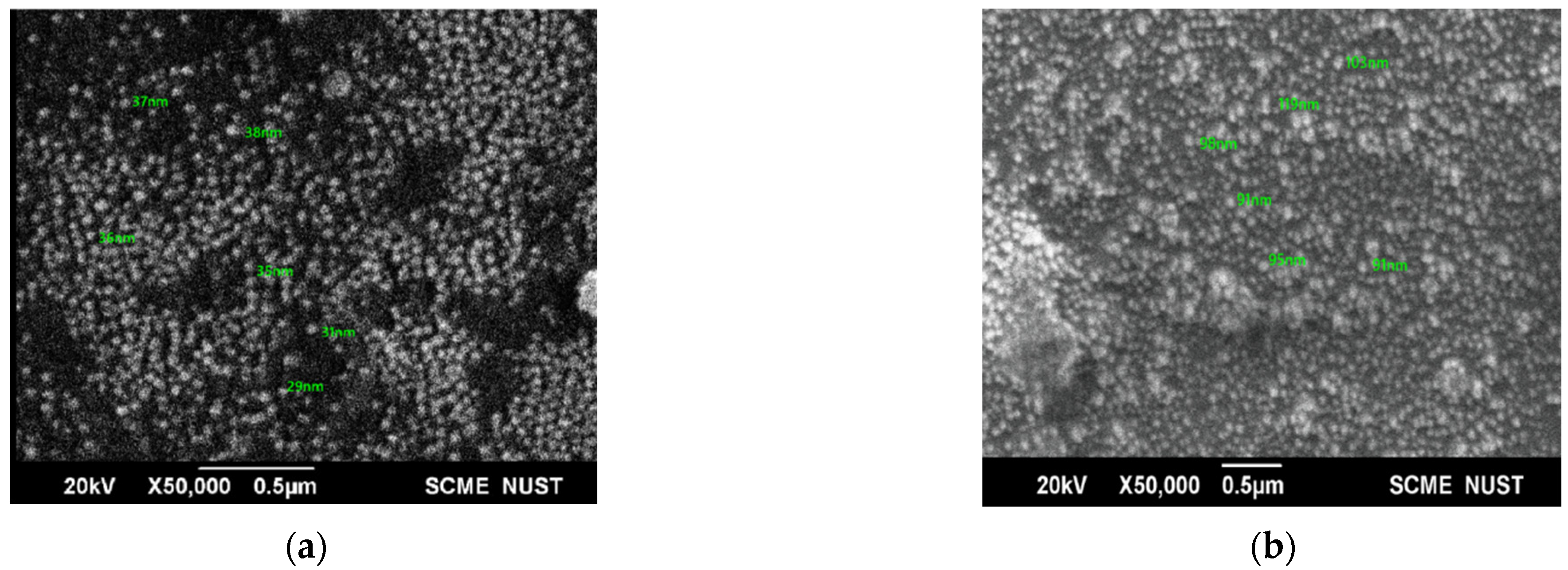 Molecules 27 07182 g003 Molecules 27 07182 g003