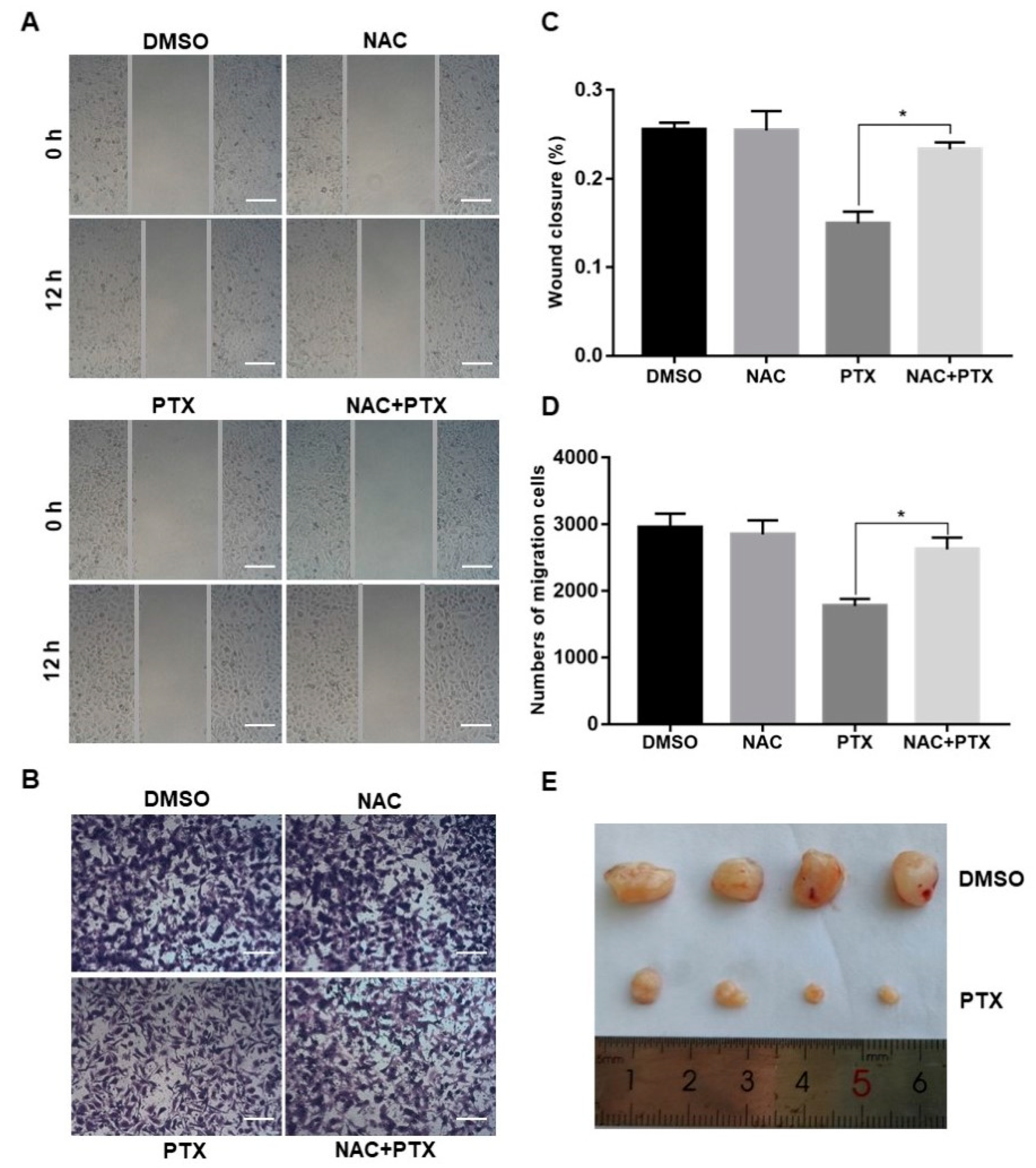Molecules 27 07183 g005