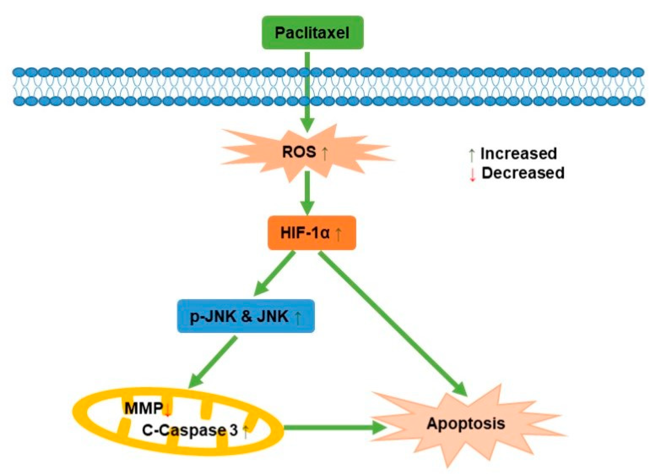 Molecules 27 07183 g007