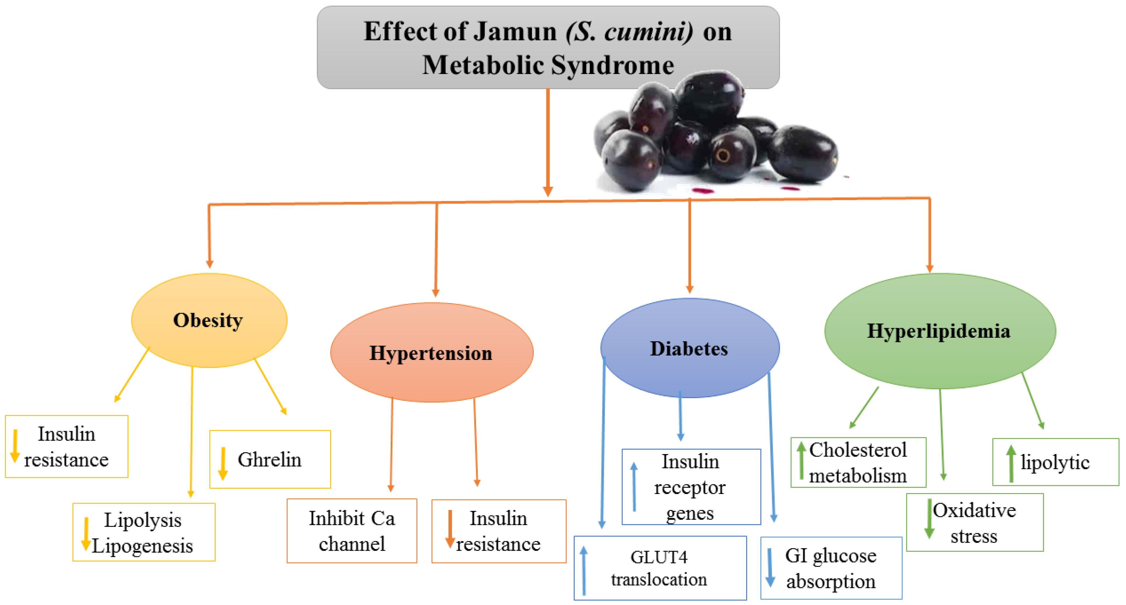 Molecules 27 07184 g003