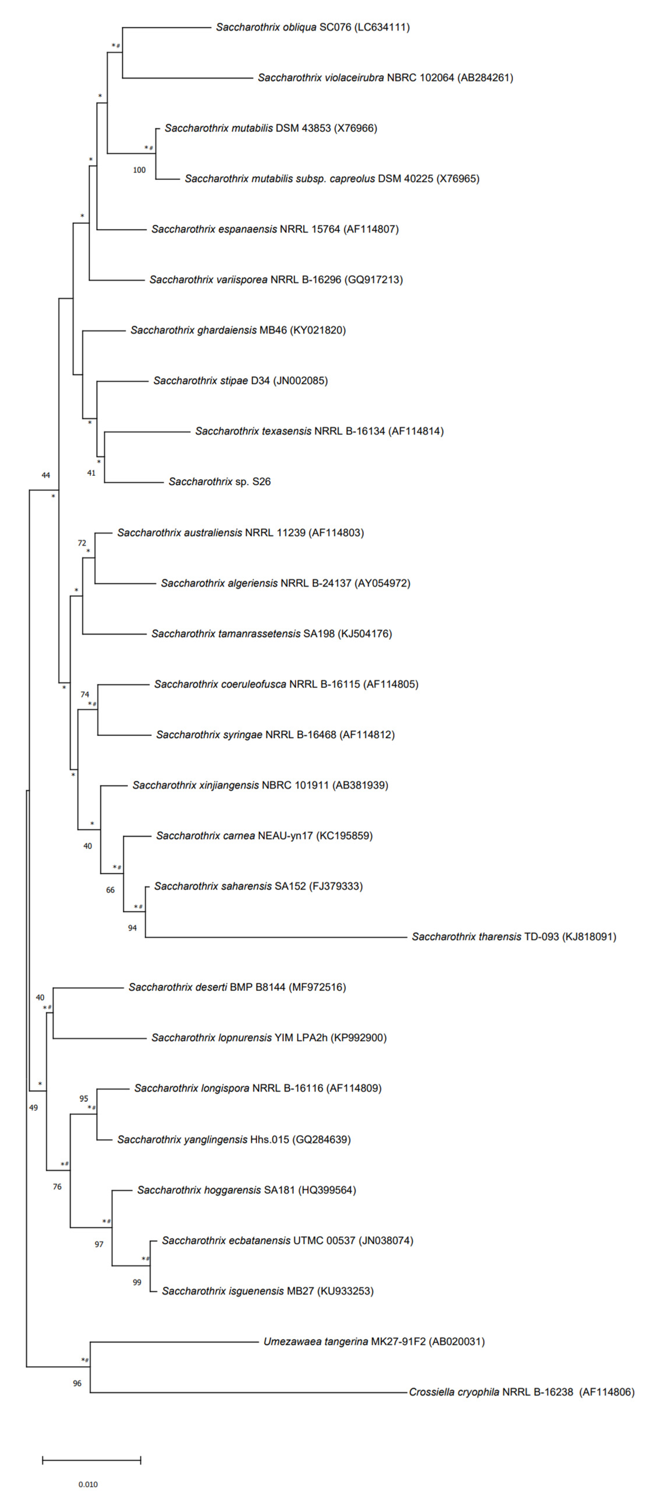 Molecules 27 07185 g005 Molecules 27 07185 g005
