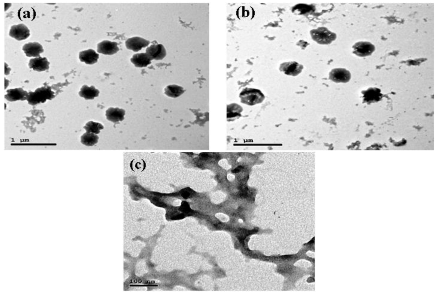 Molecules 27 07189 g004 Molecules 27 07189 g004