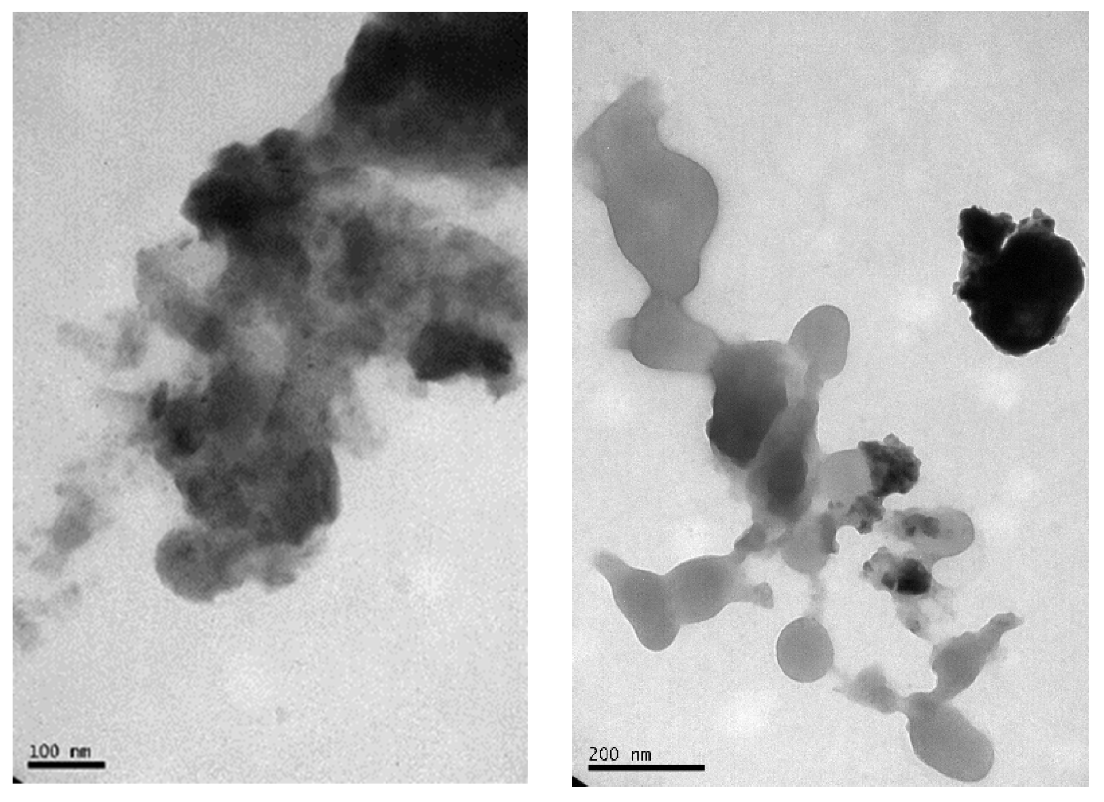 Molecules 27 07190 g002 Molecules 27 07190 g002