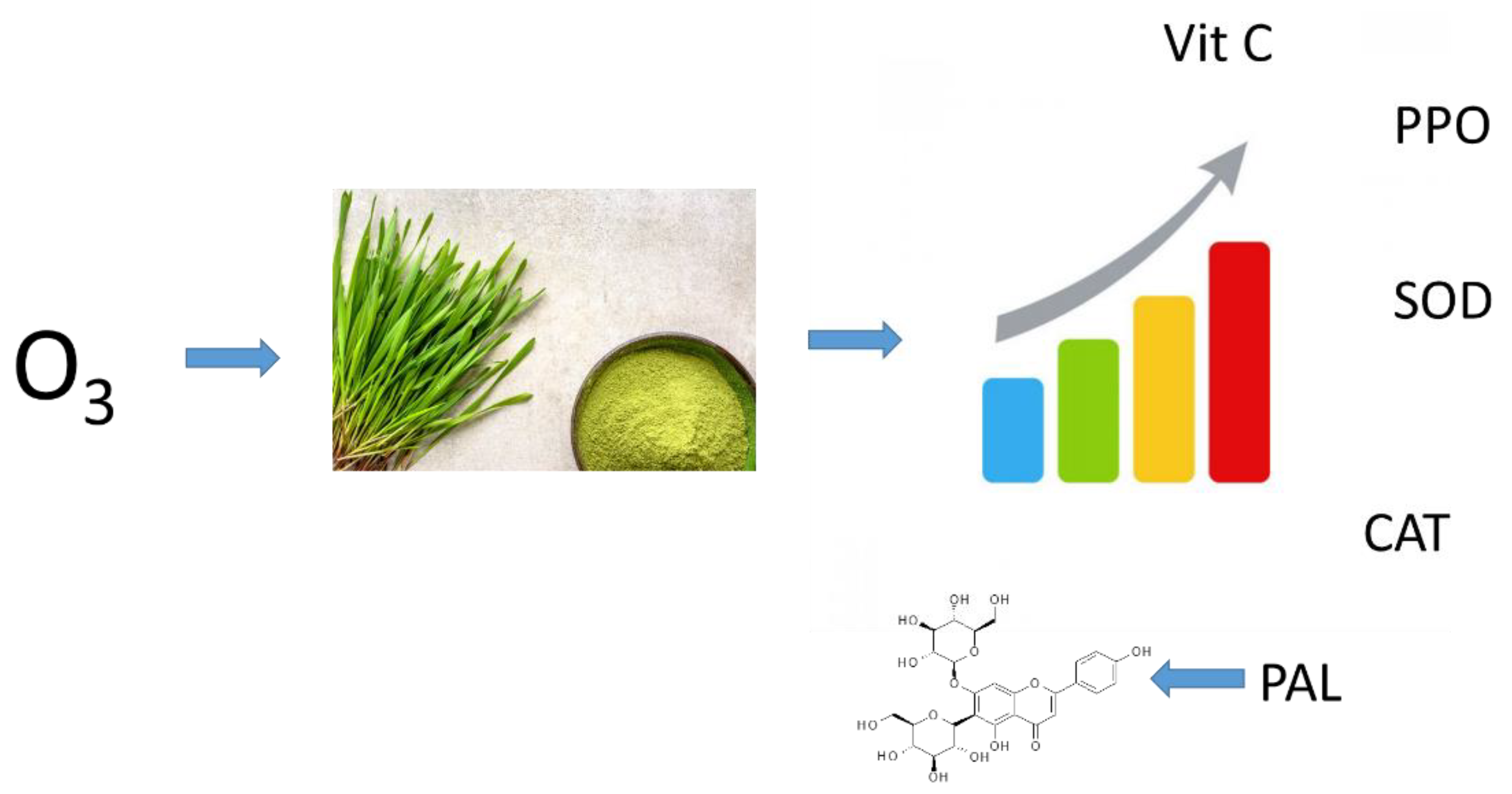 Molecules 27 07195 g001