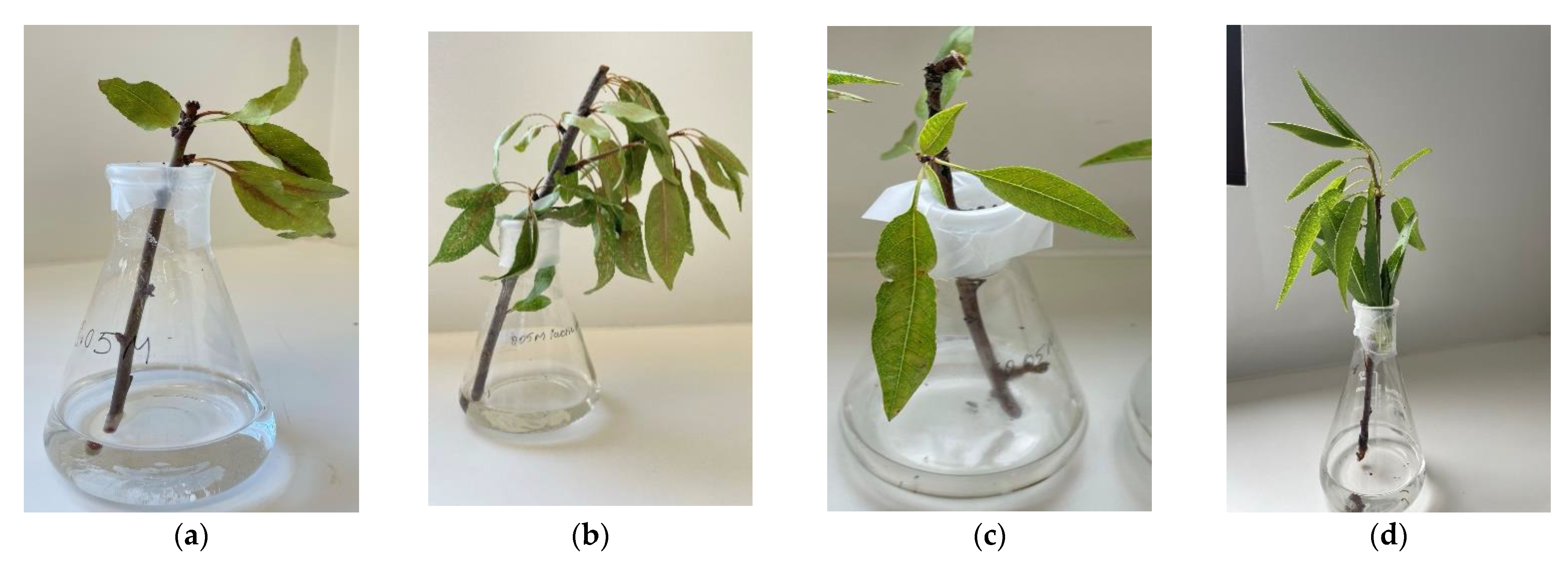 Molecules 27 07199 g011