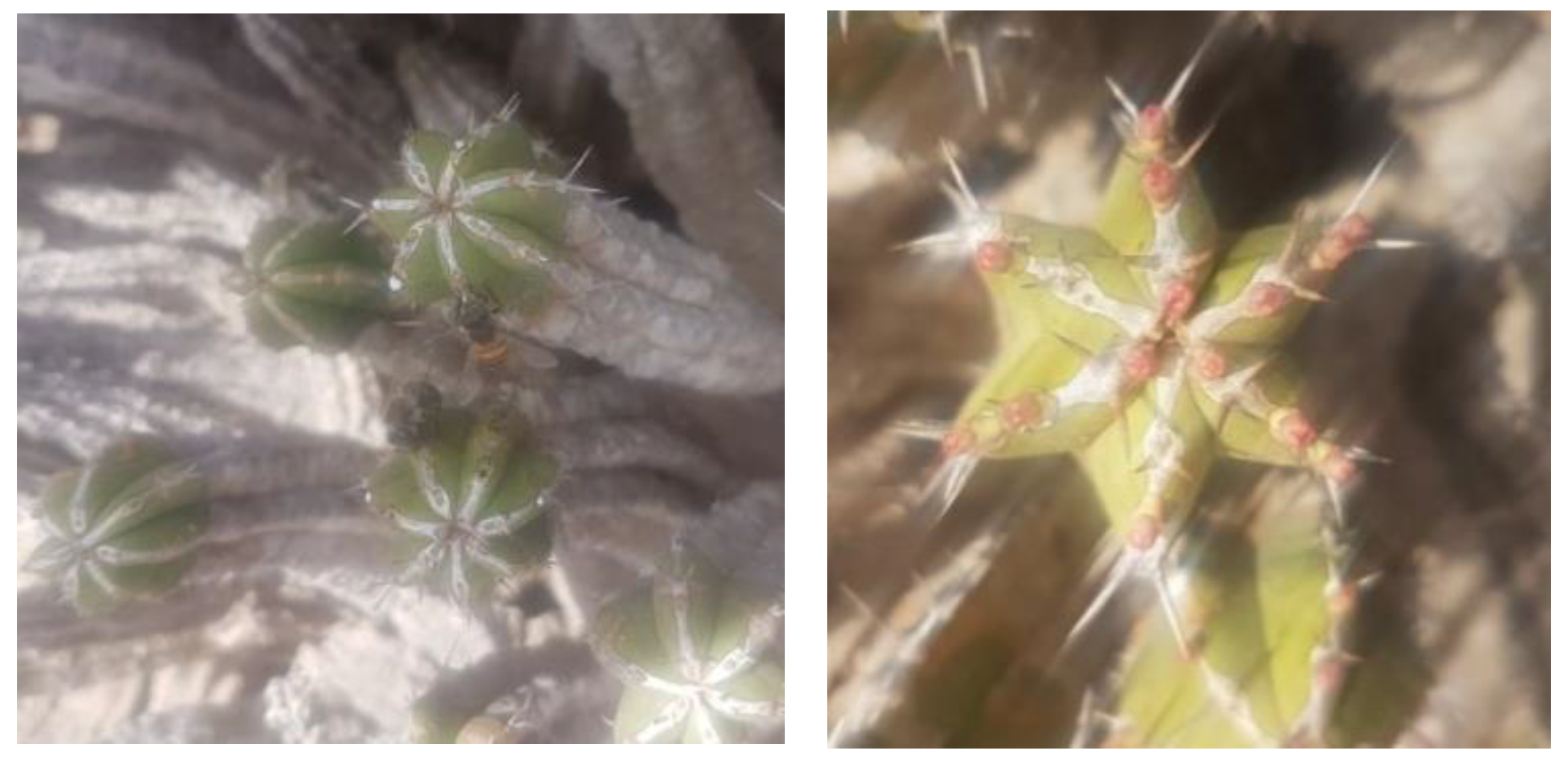 Molecules 27 07200 g001