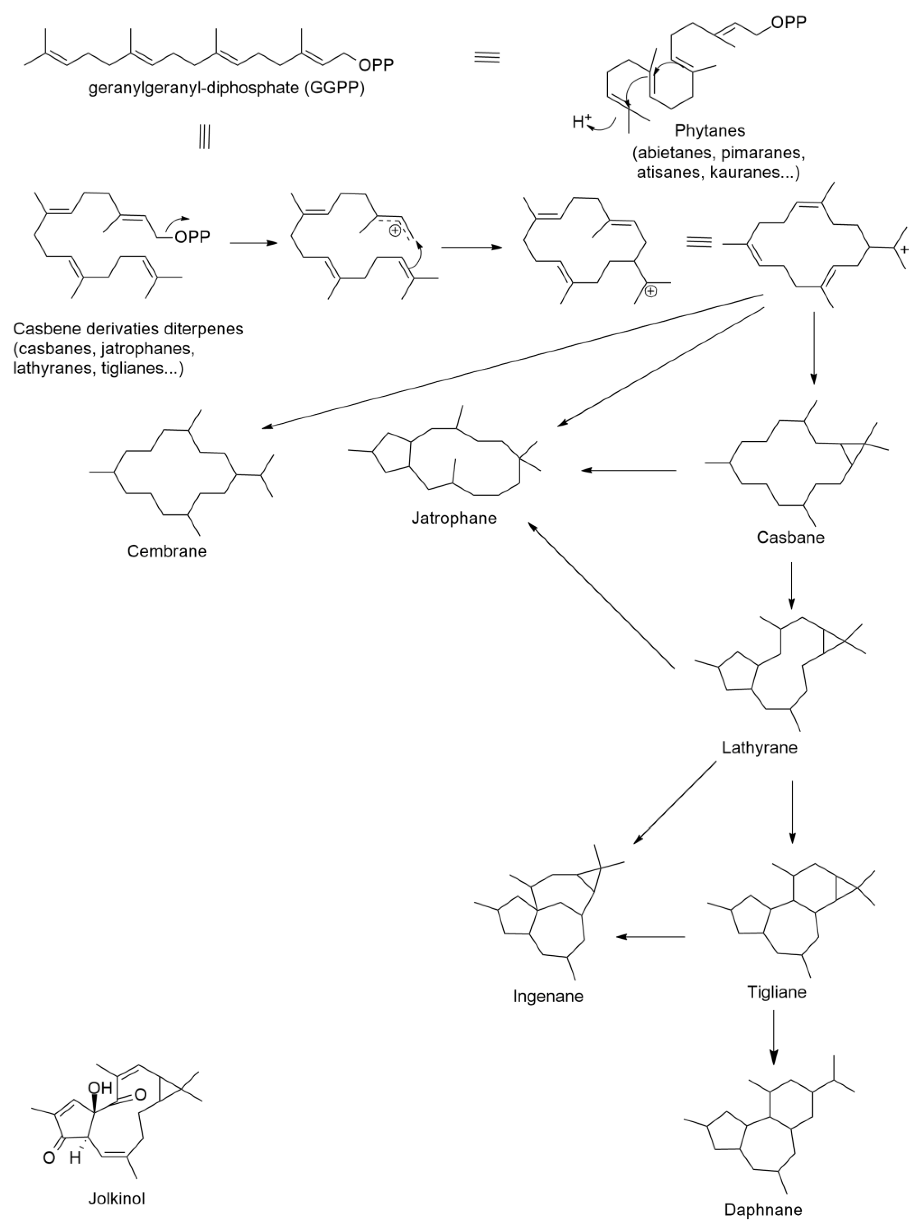 Molecules 27 07200 g006