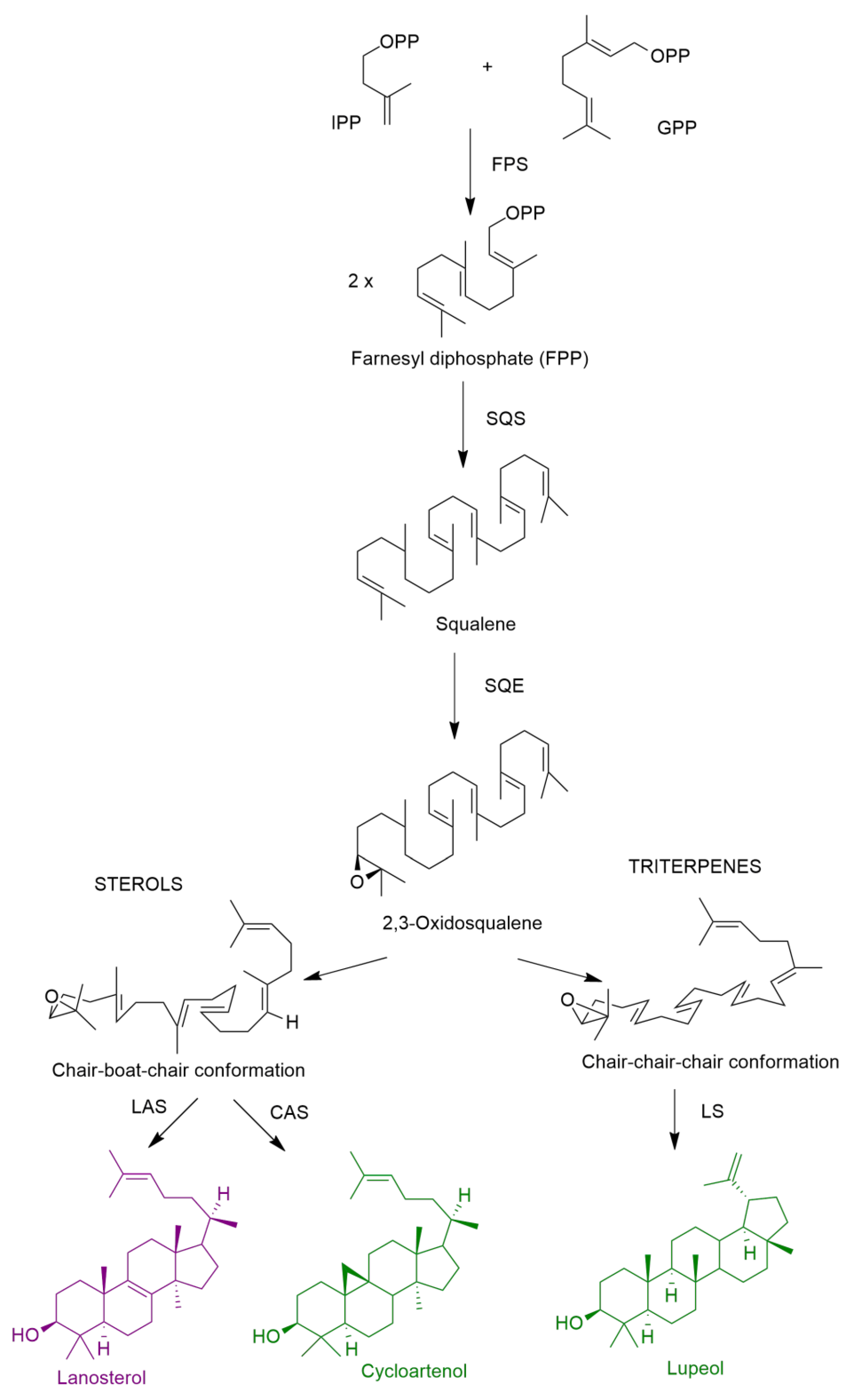 Molecules 27 07200 g008