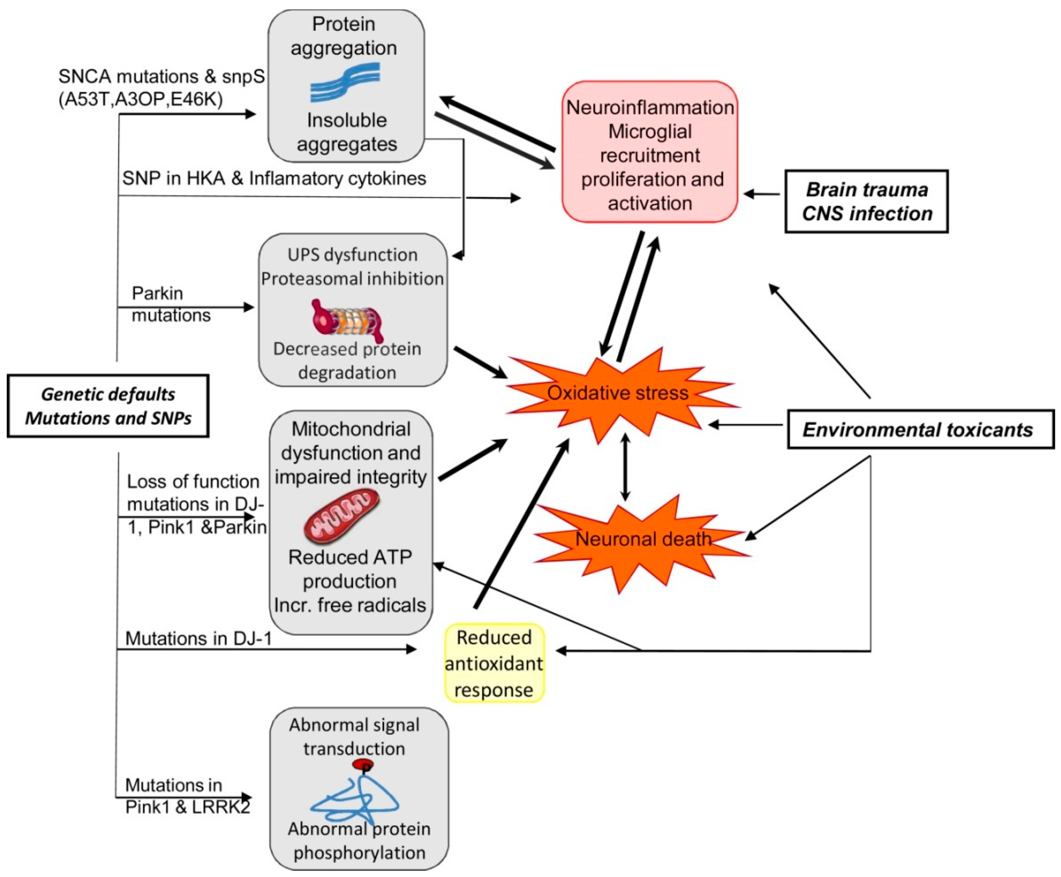 Molecules 27 07207 g005 Molecules 27 07207 g005