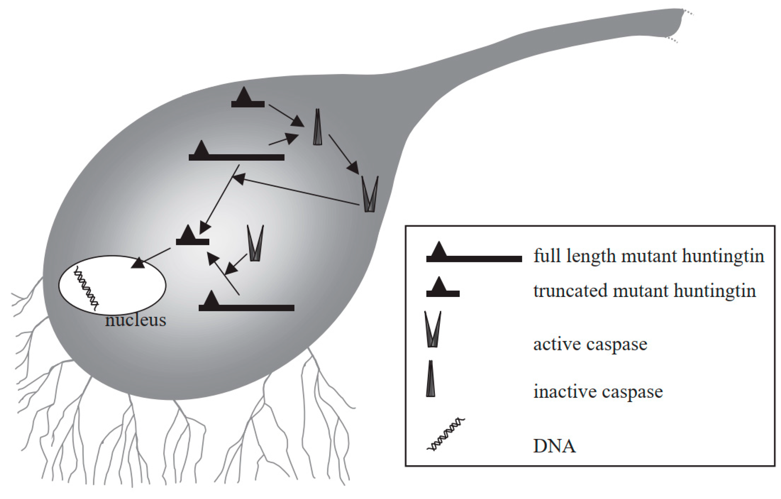 Molecules 27 07207 g006 Molecules 27 07207 g006
