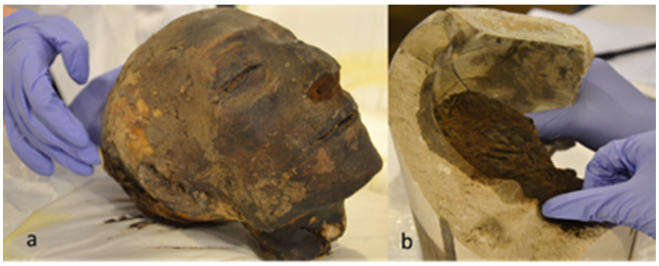 Molecules 27 07208 g001