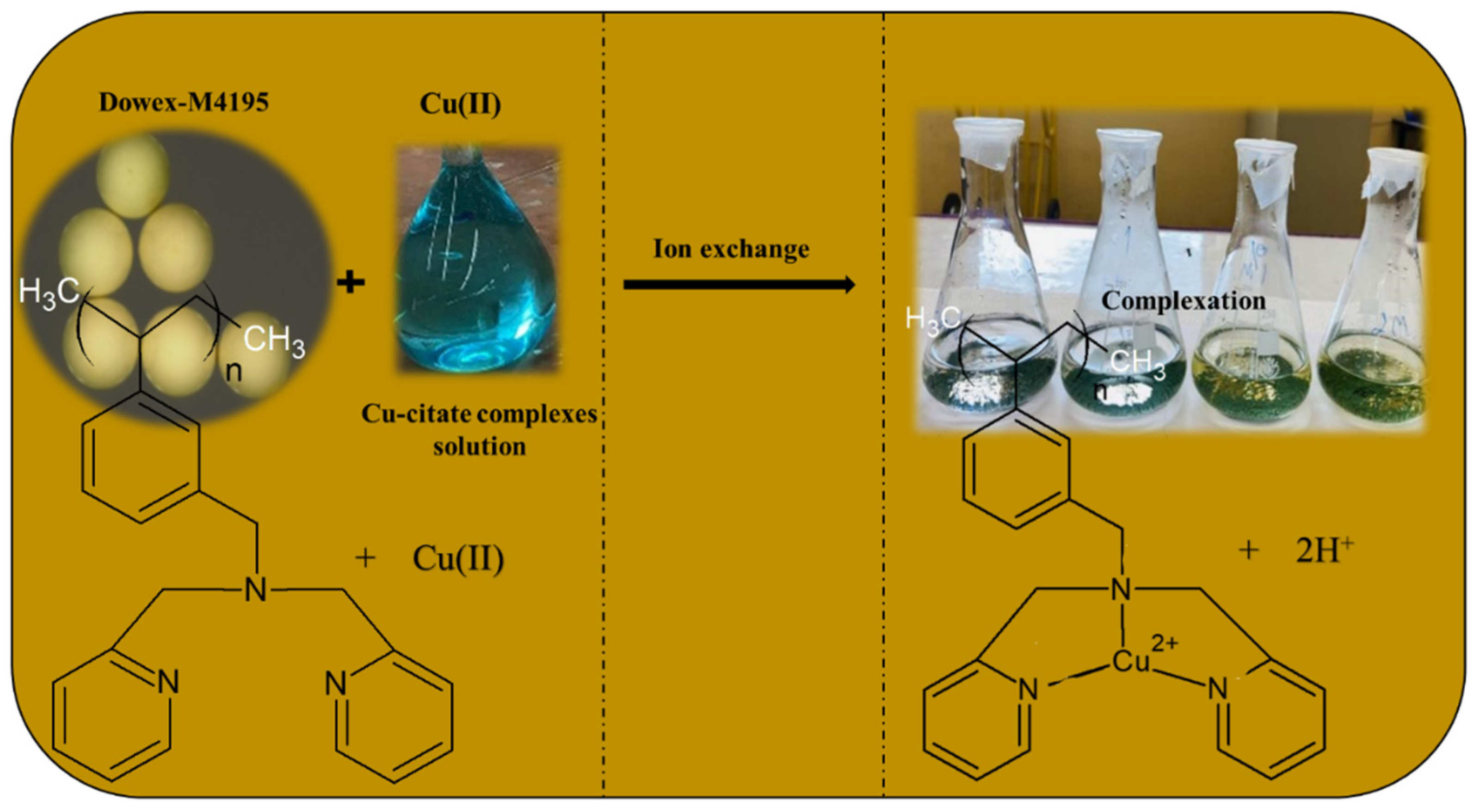Molecules 27 07210 g006