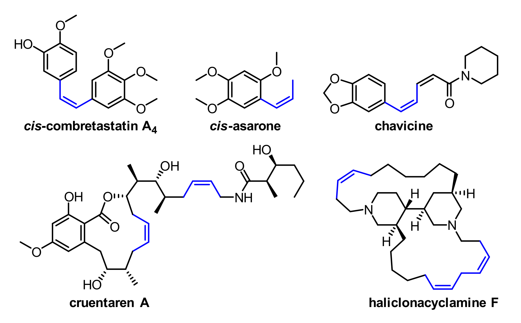 Molecules 27 07213 g001