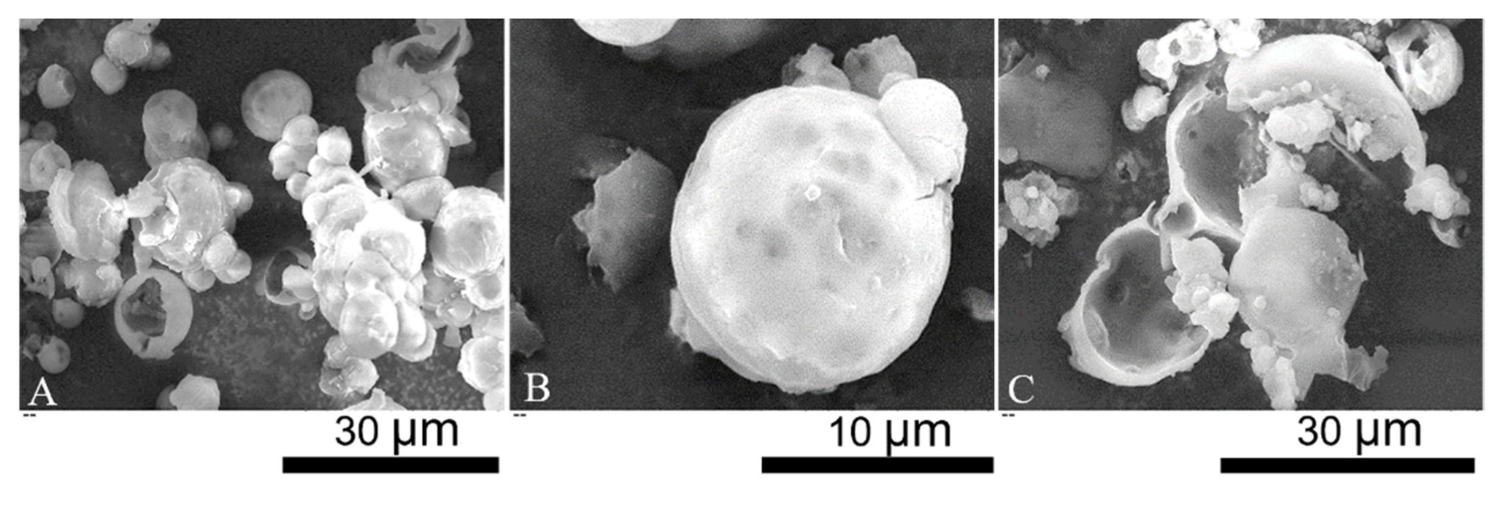 Molecules 27 07215 g002