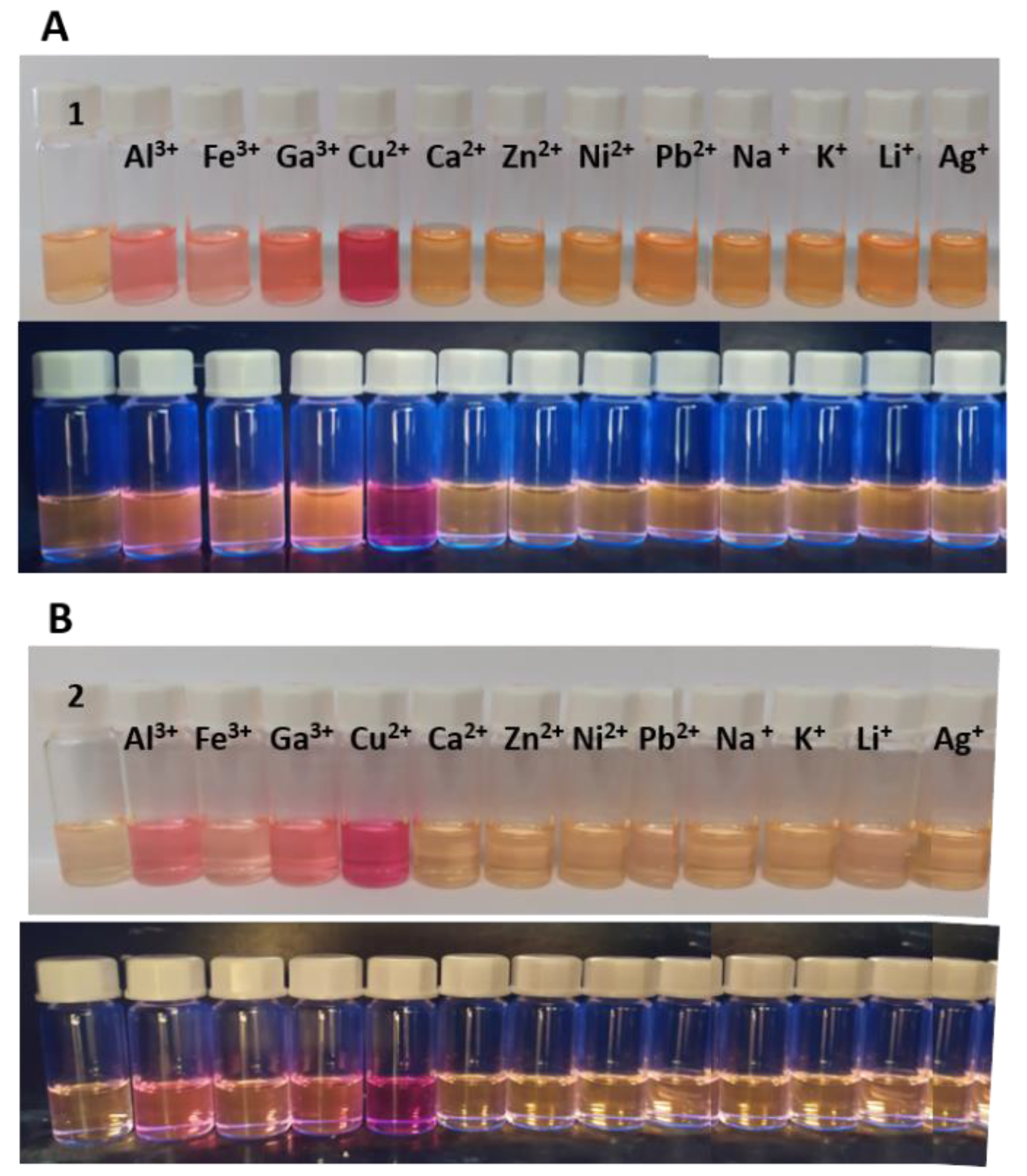 Molecules 27 07219 g003