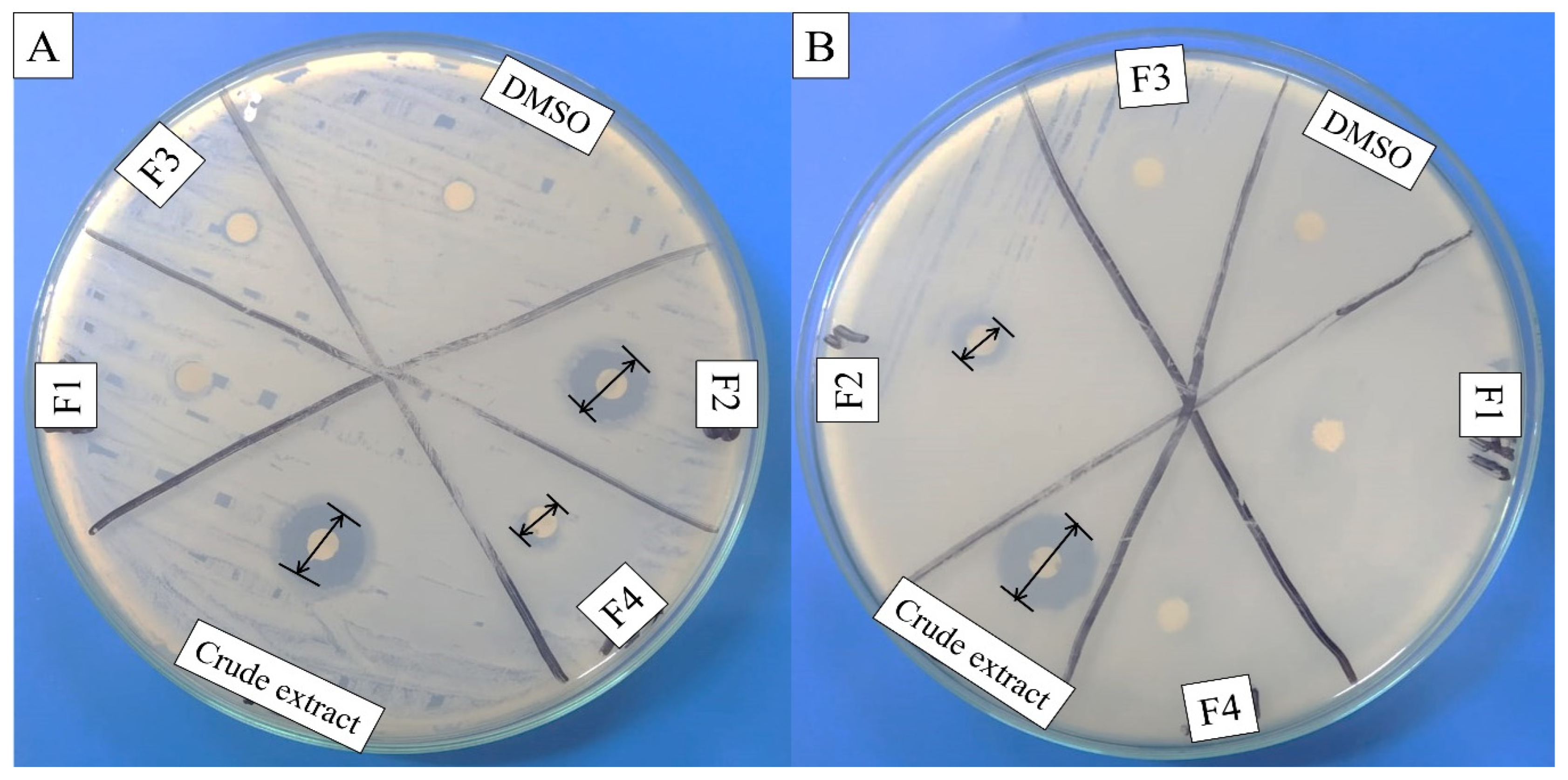 Molecules 27 07220 g002
