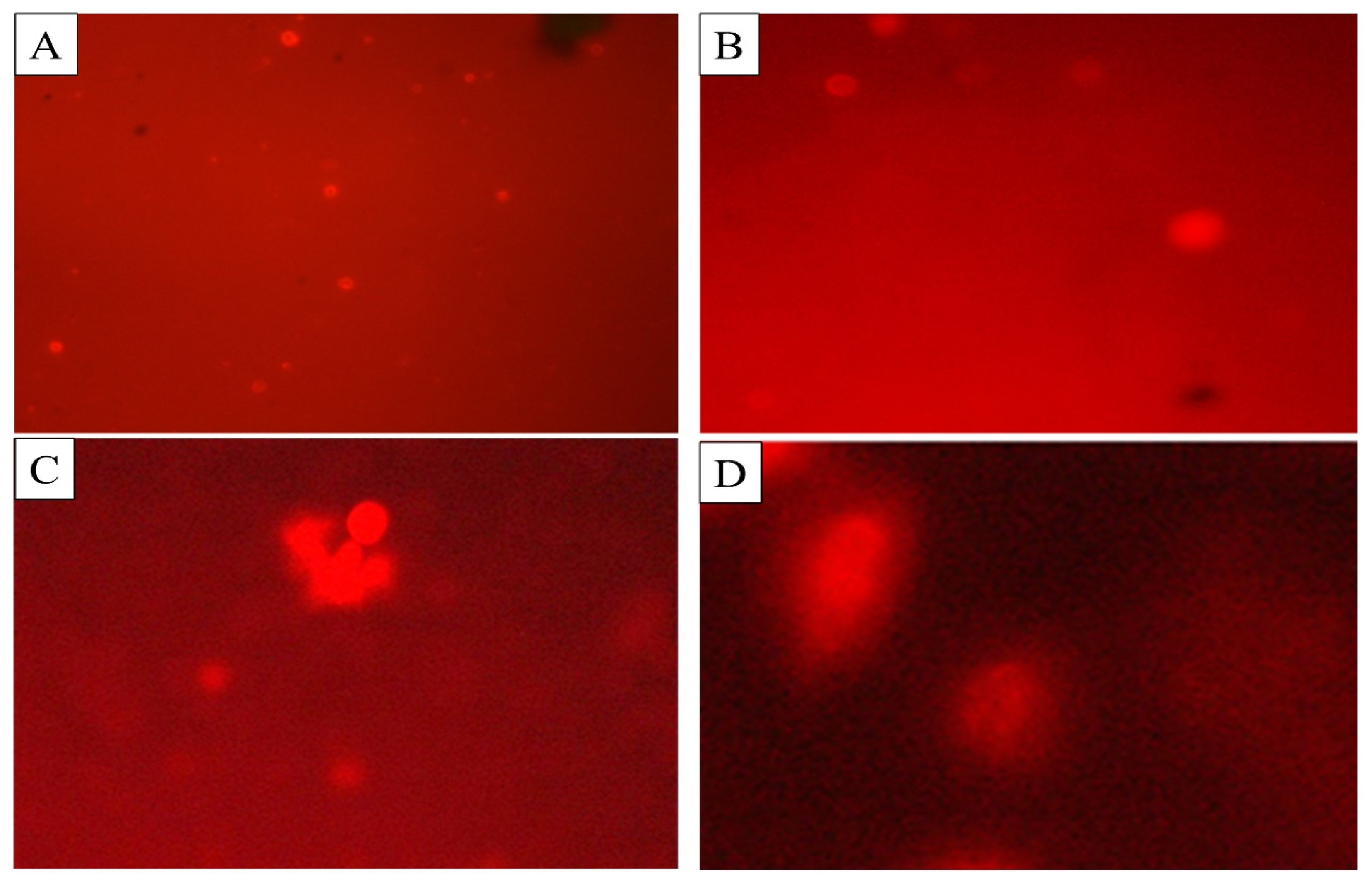 Molecules 27 07220 g006