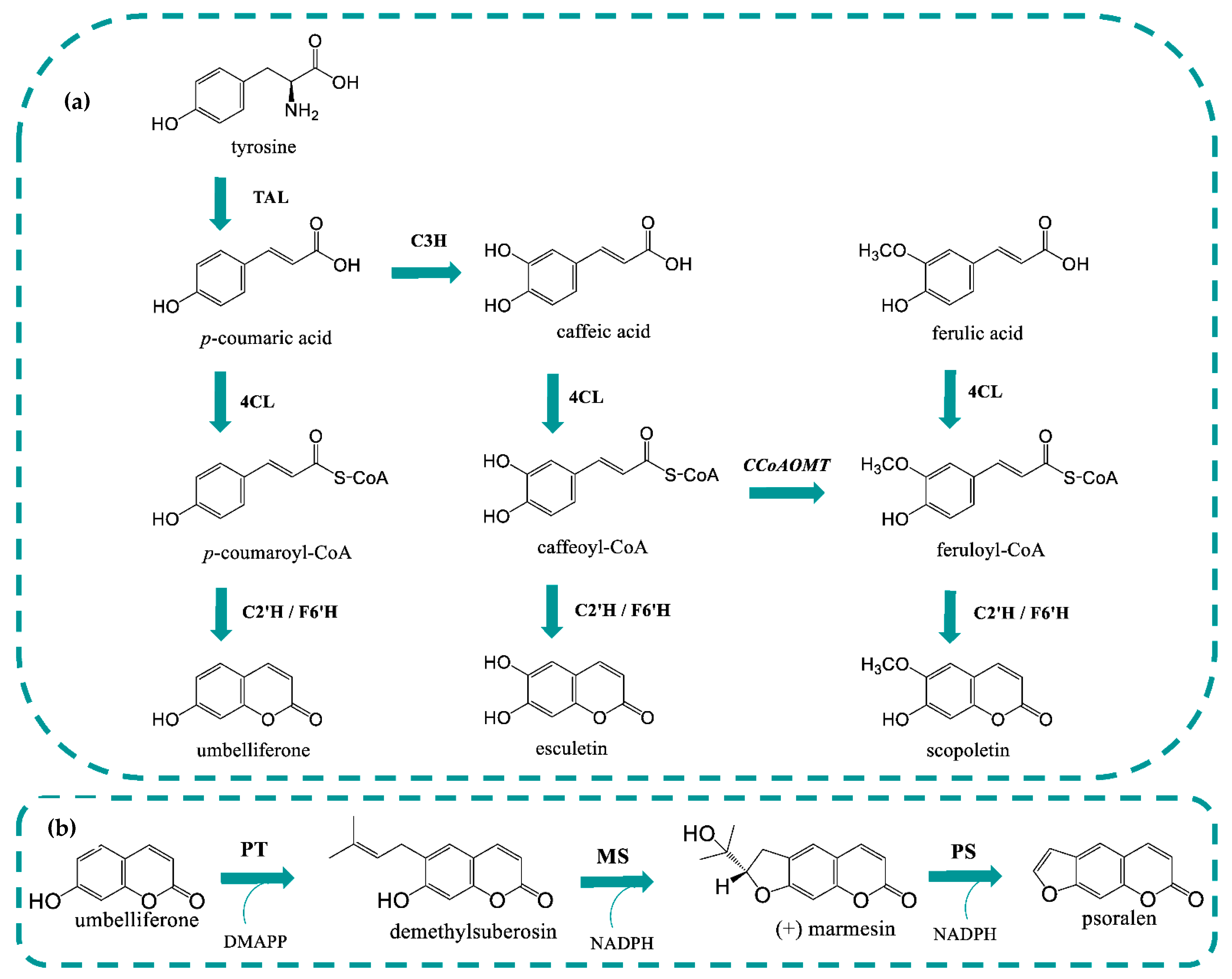 Molecules 27 07230 g001