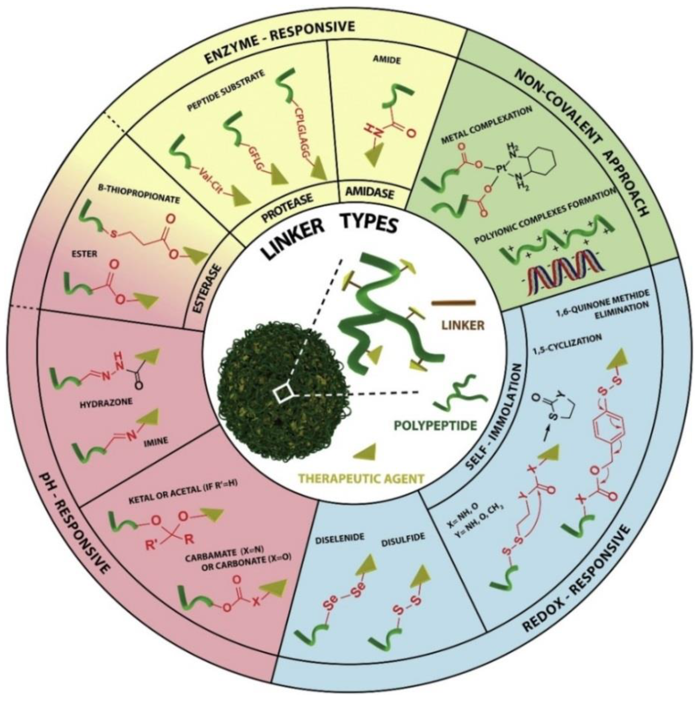 Molecules 27 07232 g002