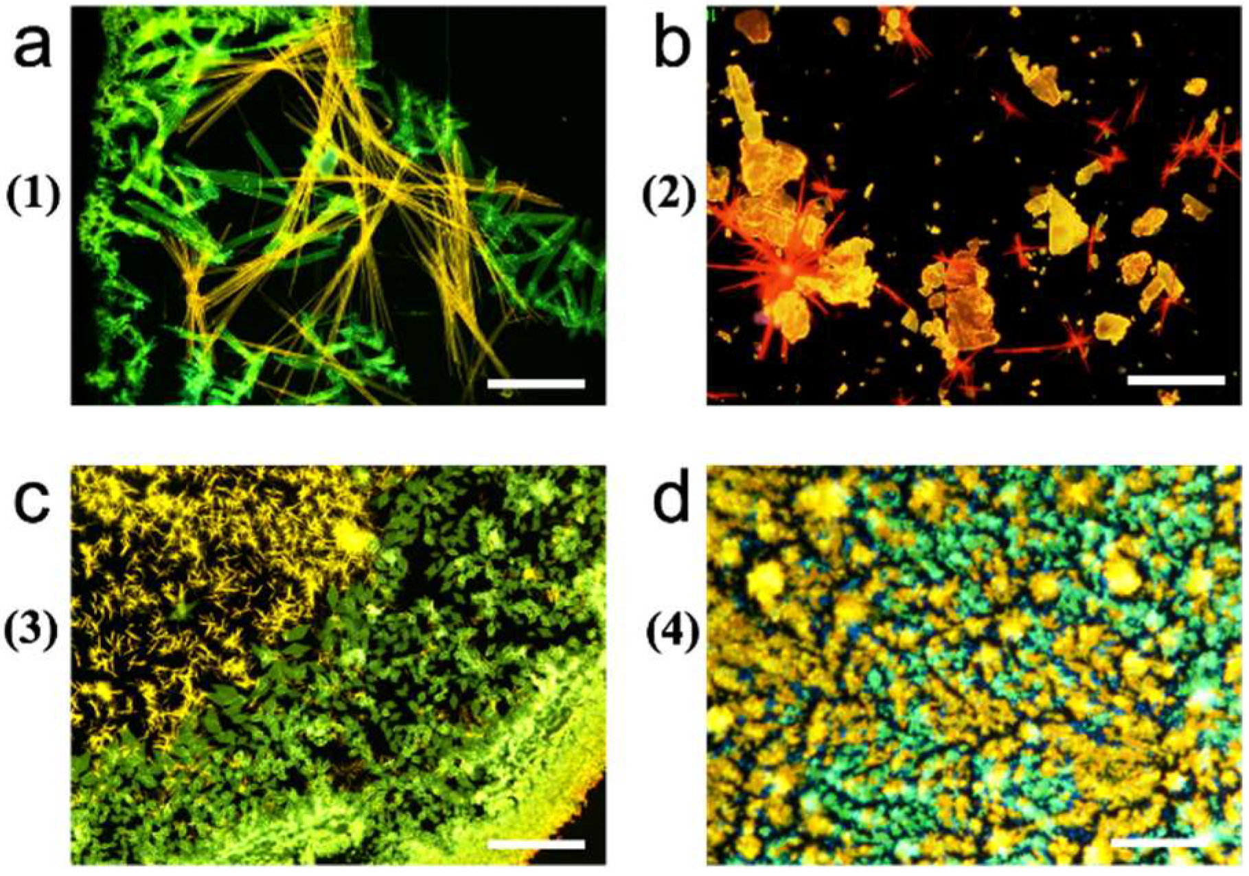 Molecules 27 07235 g003