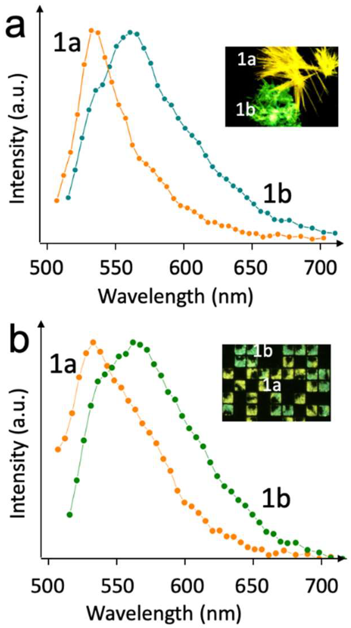 Molecules 27 07235 g005