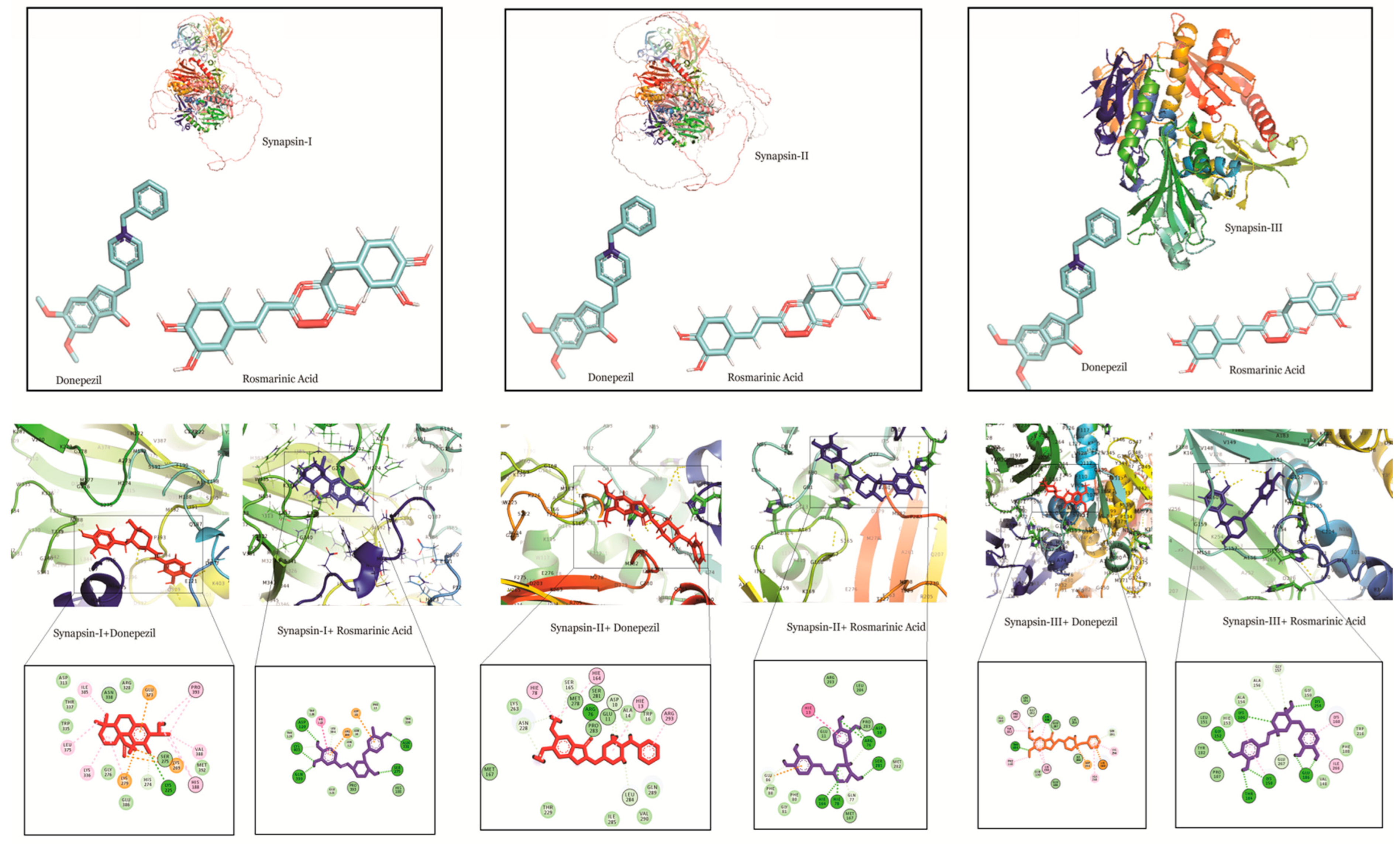 Molecules 27 07241 g004