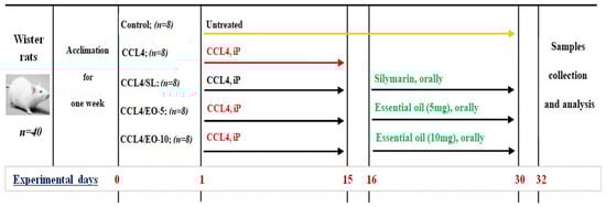 Molecules 27 07242 g001