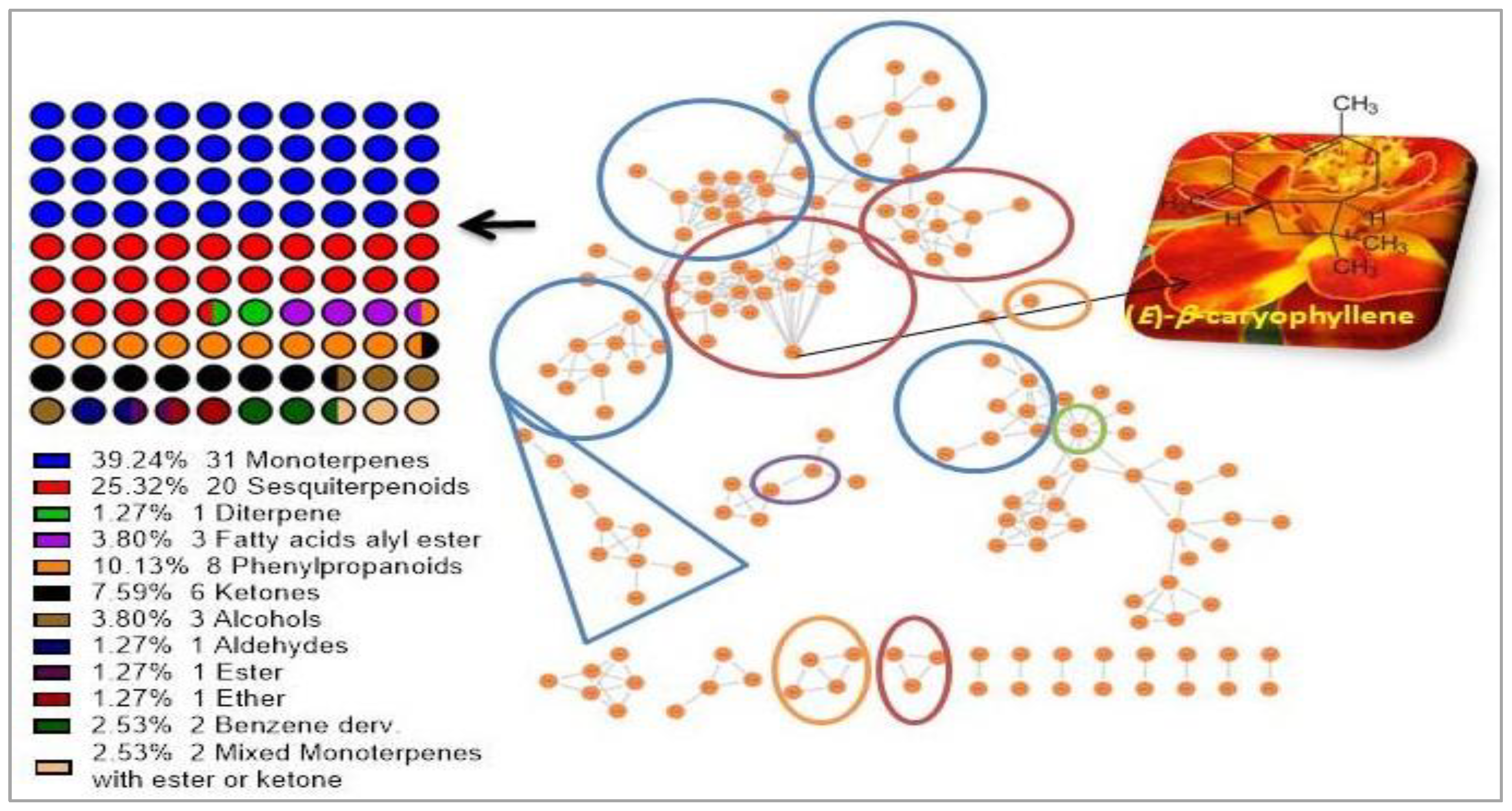 Molecules 27 07242 g003