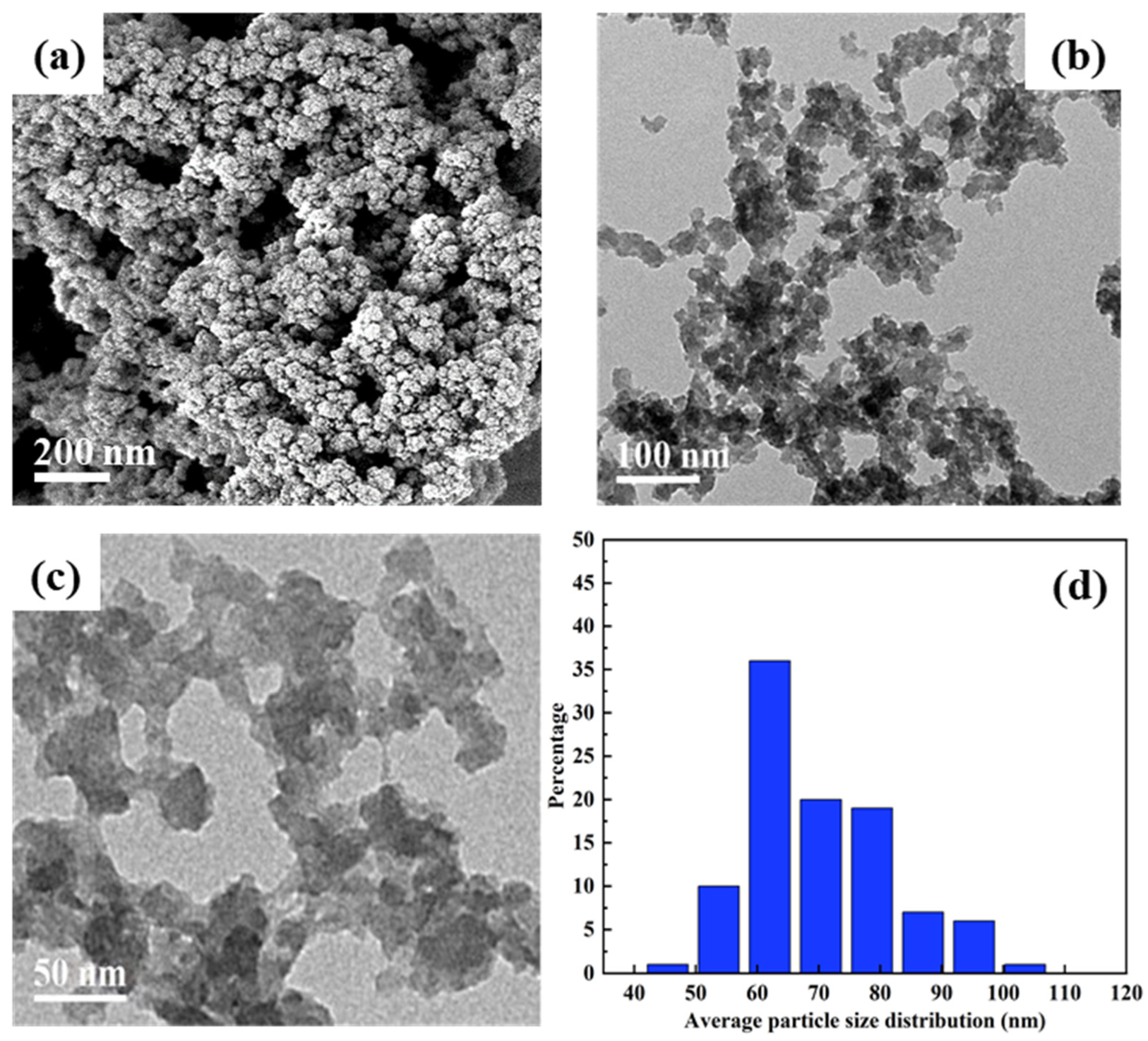 Molecules 27 07246 g006