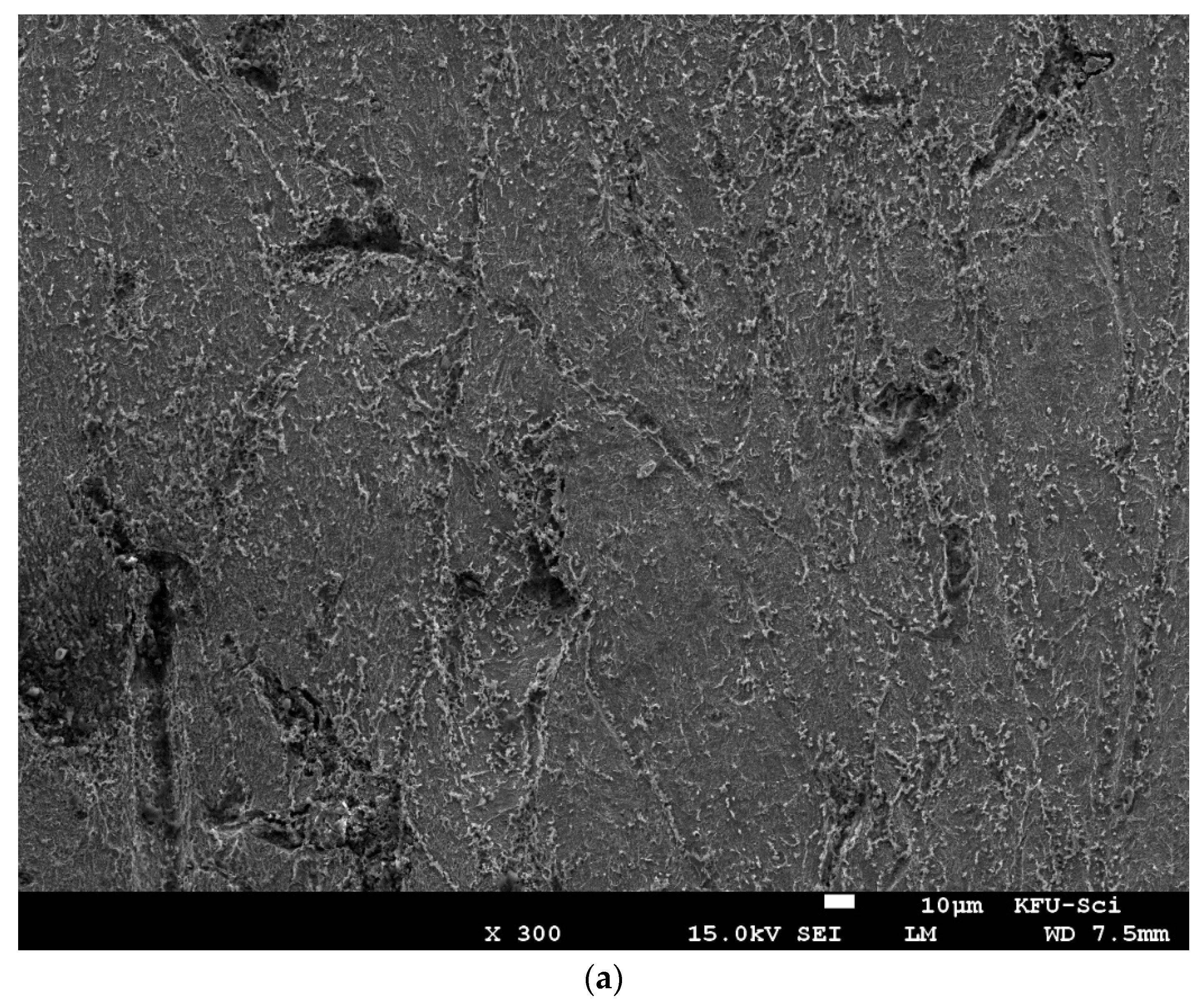 Molecules 27 07250 g013a